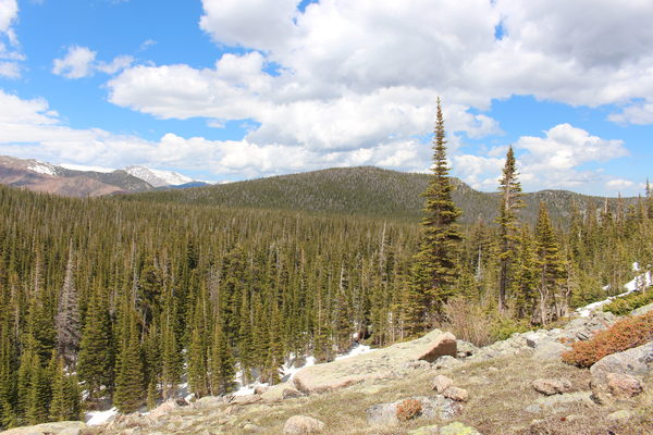 2015-06-08 Mt Wuh from Fern Lake Trail