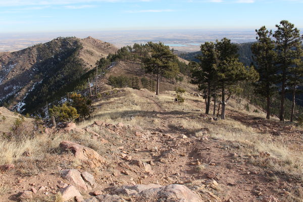 2019-12-20 View east from trail in Lefthand OHV area