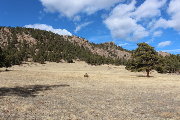 2021-01-22 Meadow, trees, mountain and sky at Button Rock Preserve