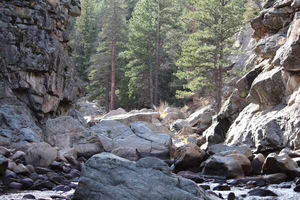 2023-11-06 Looking upstream from our crossing of North St Vrain Creek
