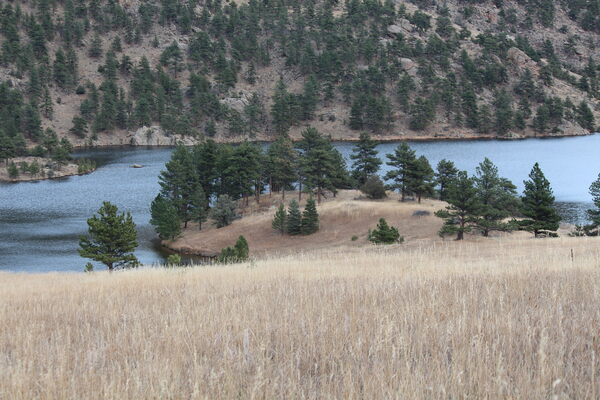 2023-11-06 Meadow, ponderosa pine and Ralph Price Reservoir
