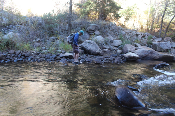 2025-10-14 Stefan after second crossing of North St Vrain Creek between North and South Sheep Mountain