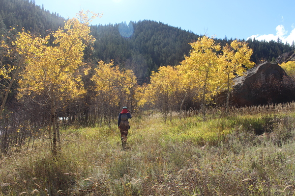 2025-10-14 Stefan on faded trail between North and South Sheep Mountain
