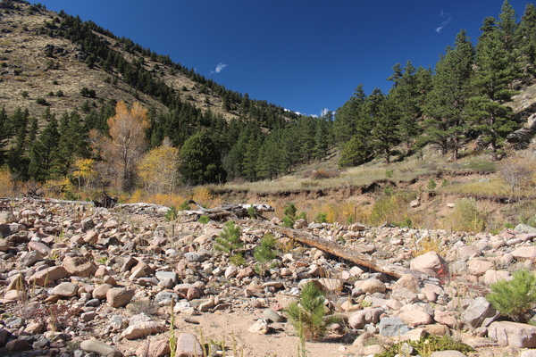 2025-10-14 Looking toward gulch with North Sheep Mountain Trail