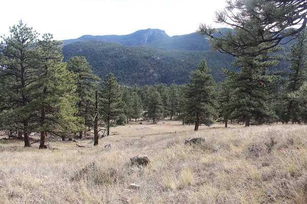 2025-11-01 Looking southeast from Aquilla Cook memorial marker on Cook Mountain