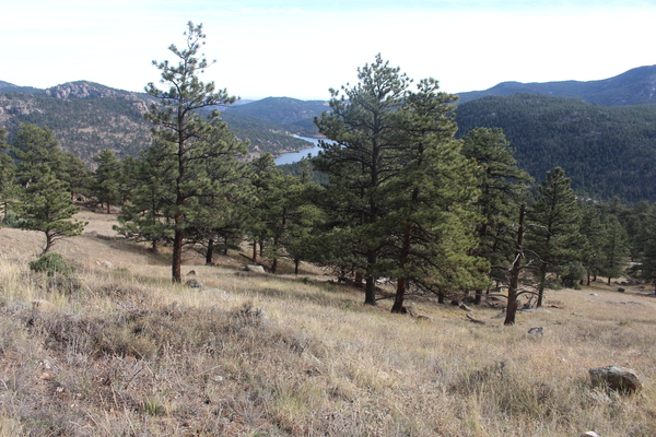 2025-11-01 Looking east from Aquilla Cook memorial marker on Cook Mountain
