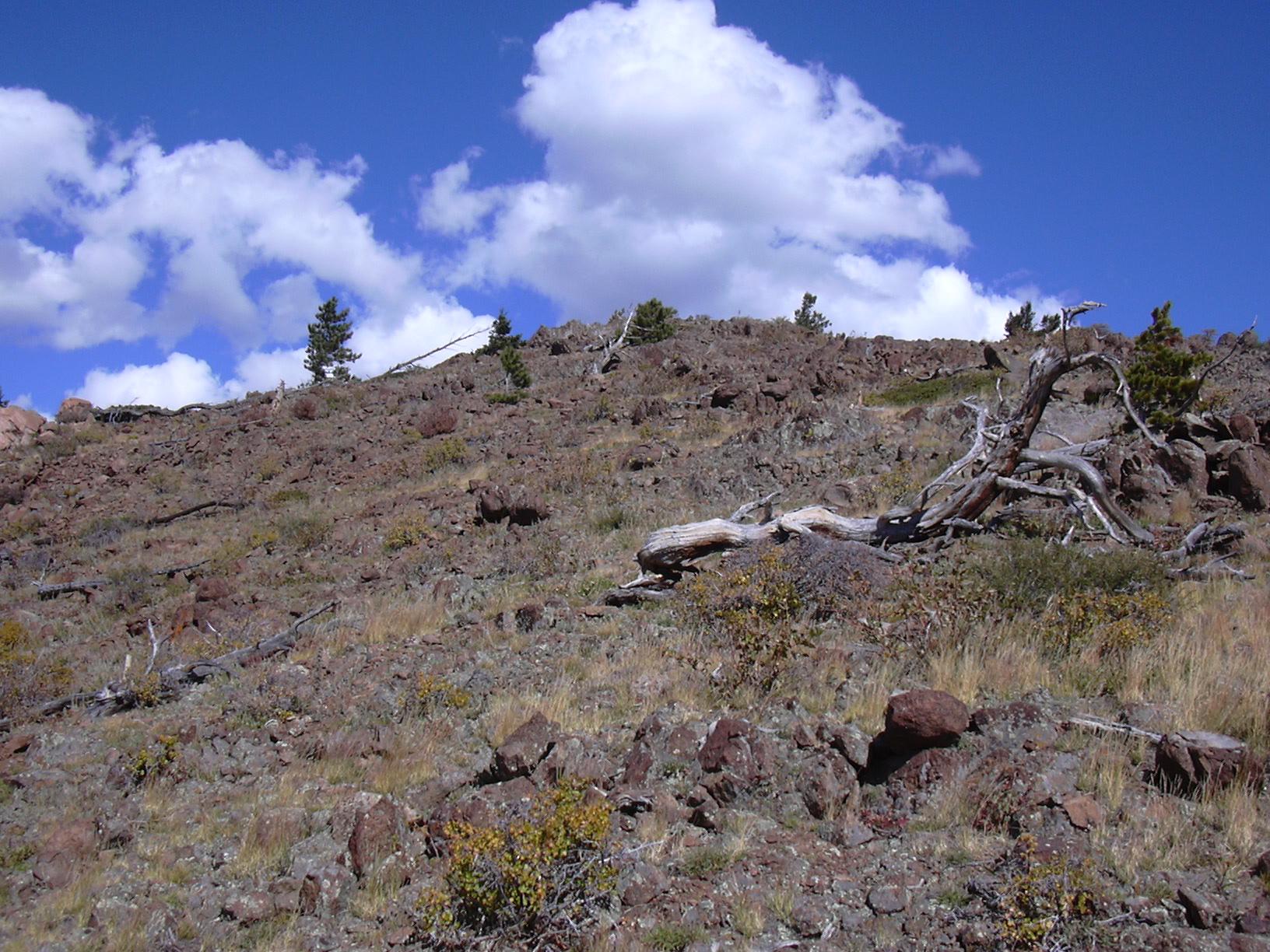 Iron Dike on south side of Steep Mtn, 09/26/04