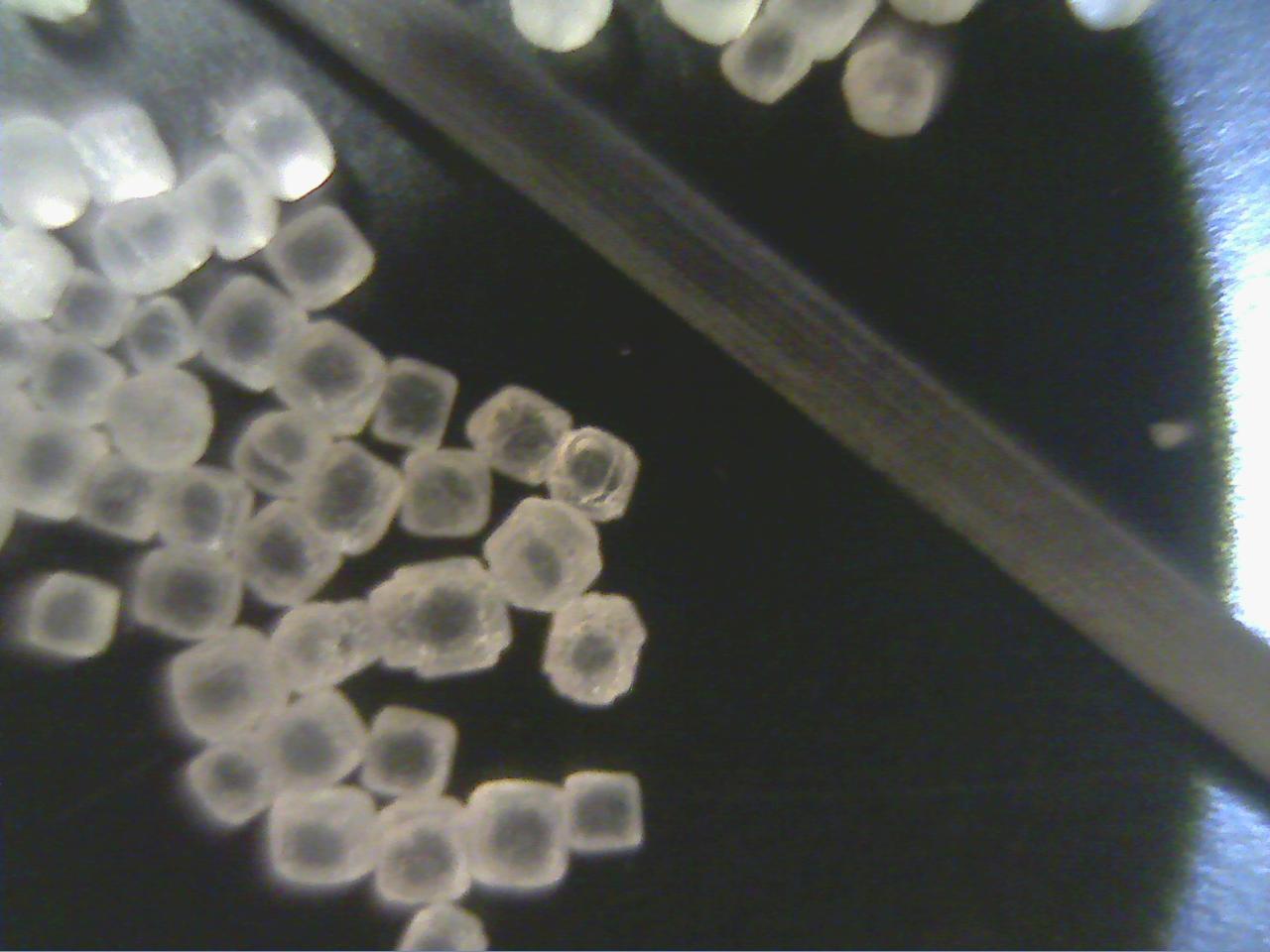 Macro and Micro Picture of the Day 2020-01-02