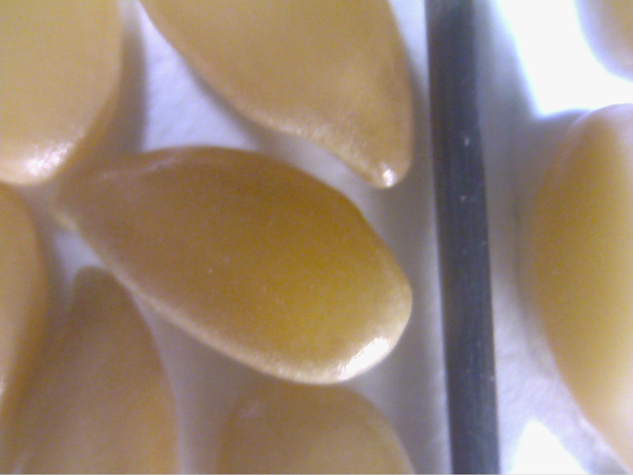 Macro and Micro Picture of the Day 2020-01-04