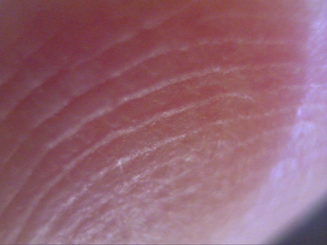 Macro and Micro Picture of the Day 2020-01-05