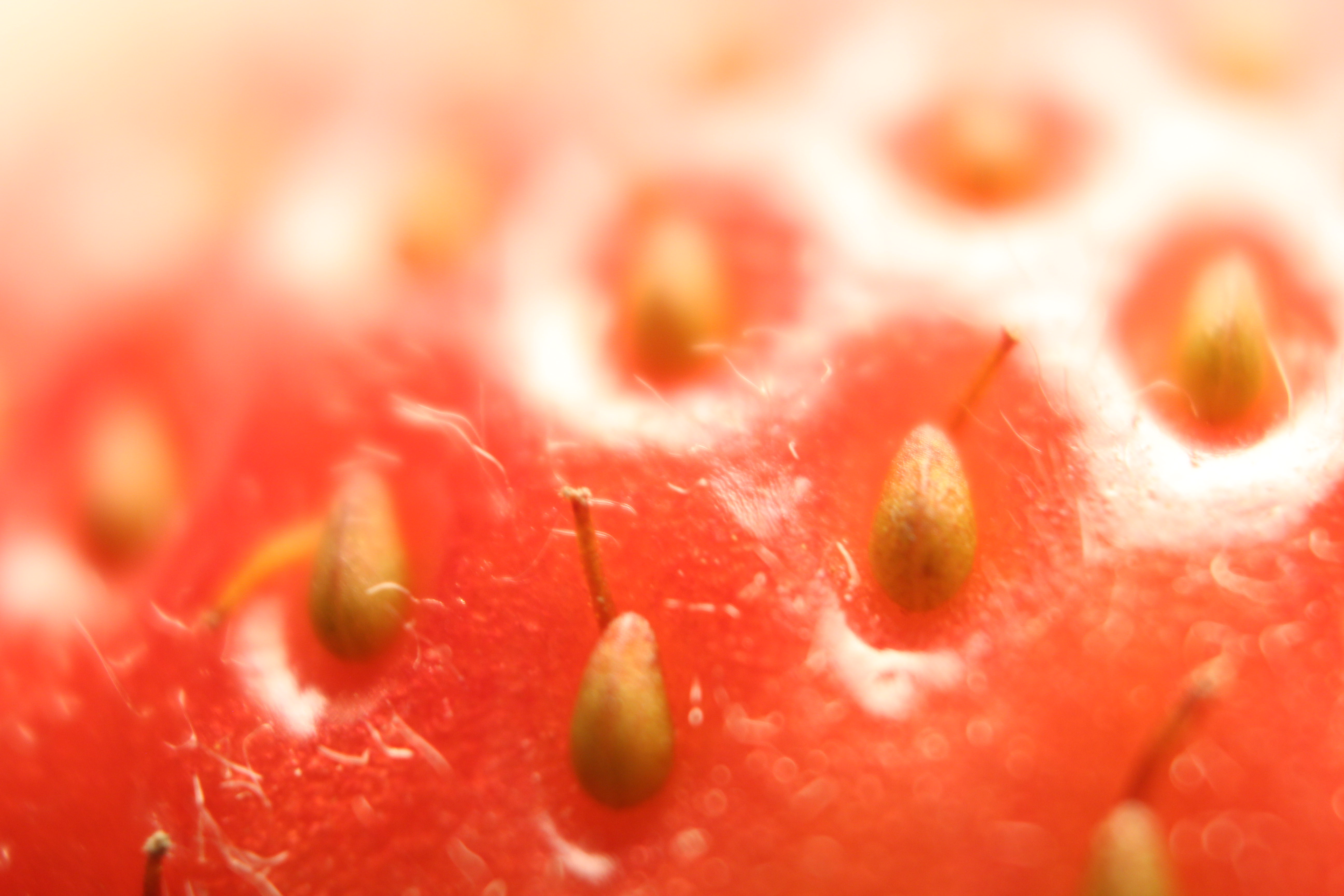 Macro and Micro Picture of the Day 2020-01-14