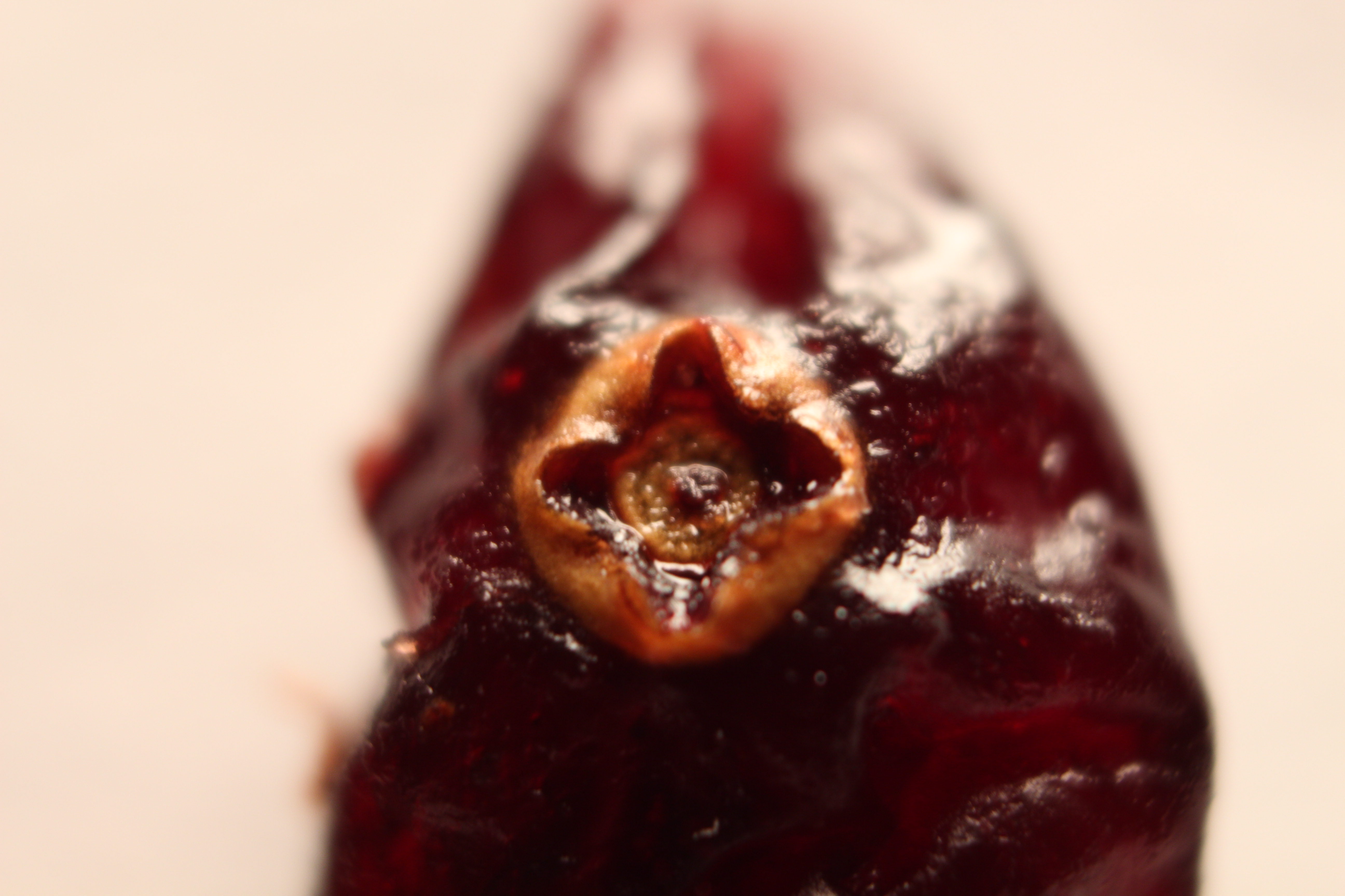 Macro and Micro Picture of the Day 2020-01-16