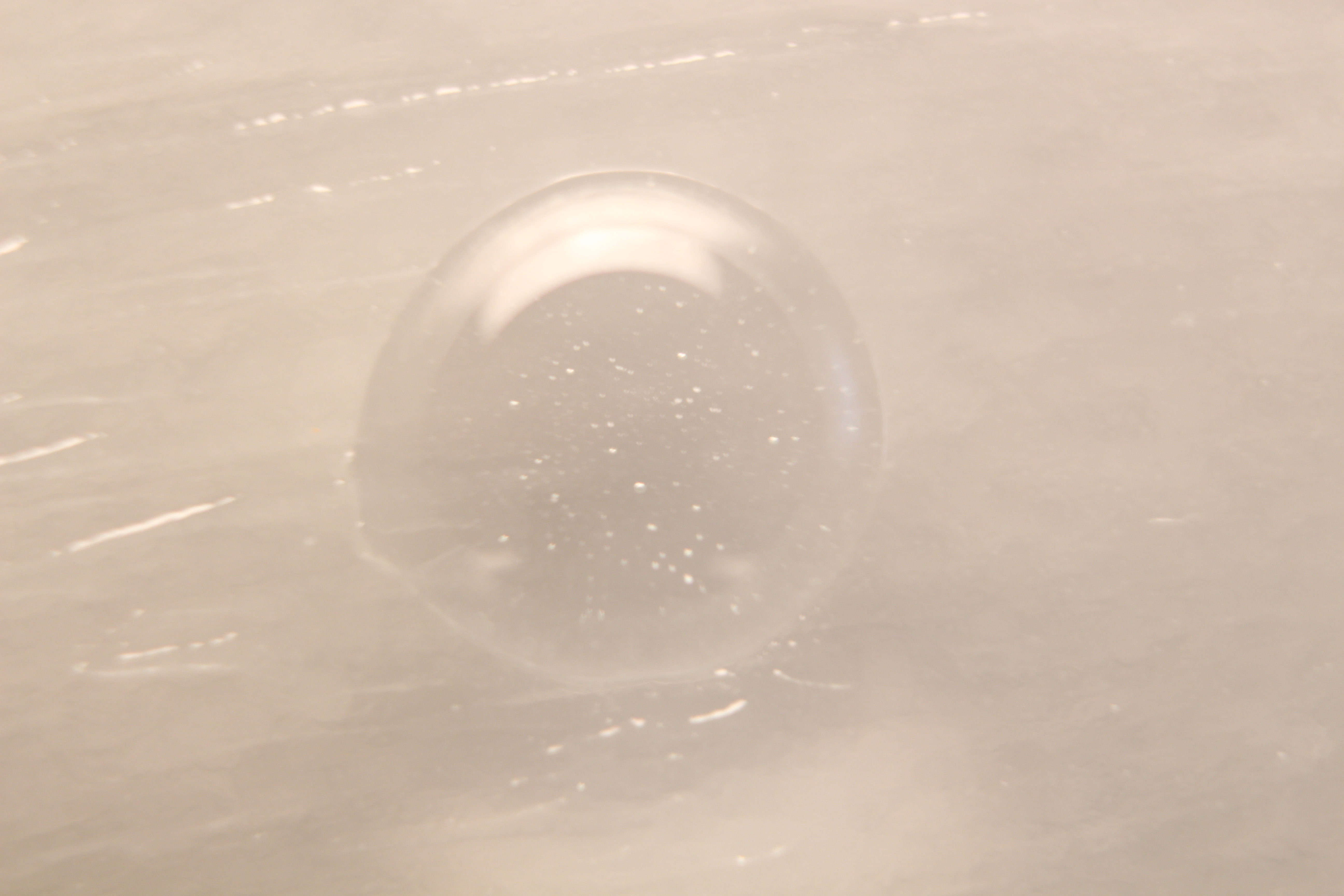 Macro and Micro Picture of the Day 2020-01-29