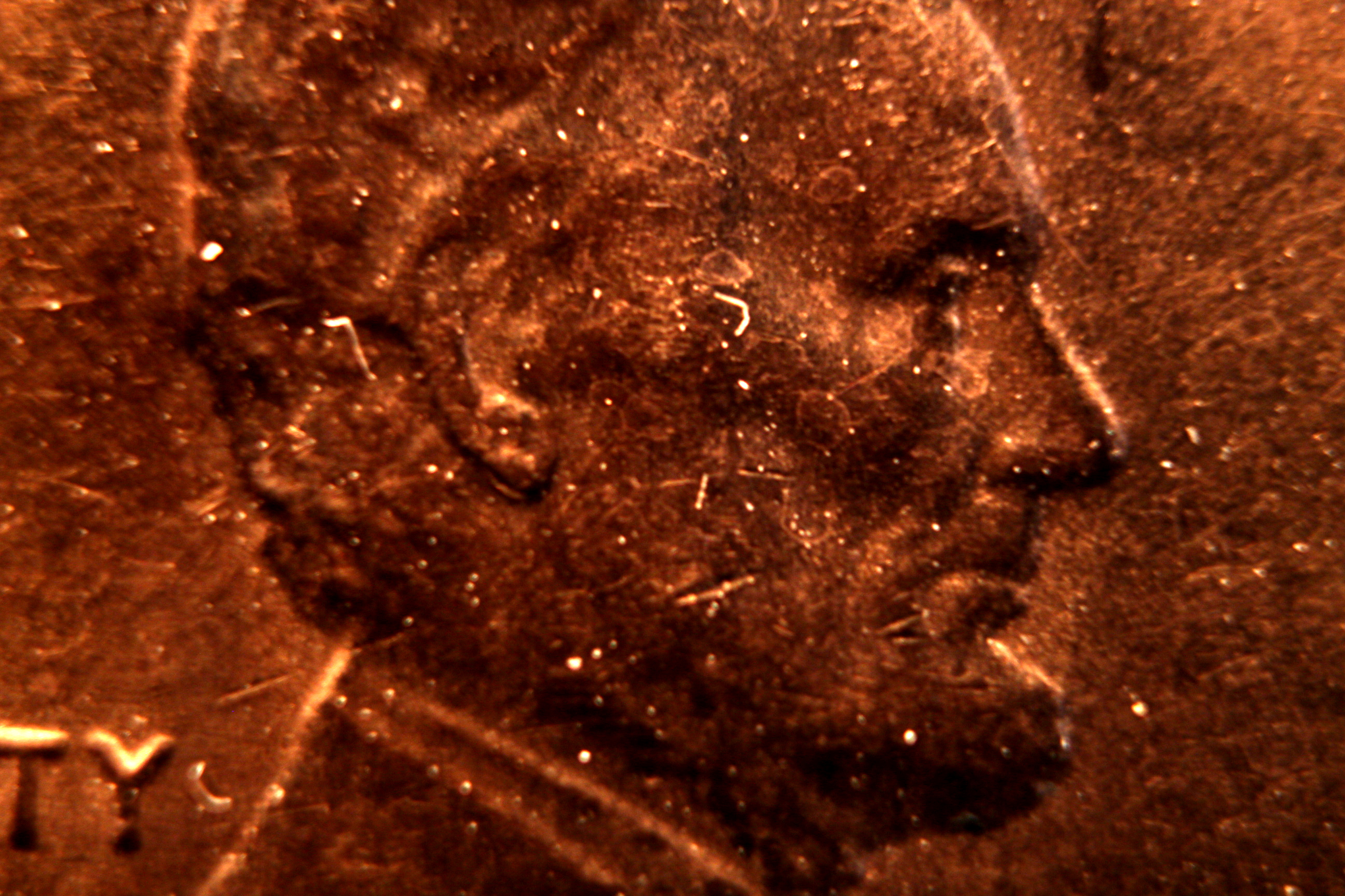 Macro and Micro Picture of the Day 2020-01-30