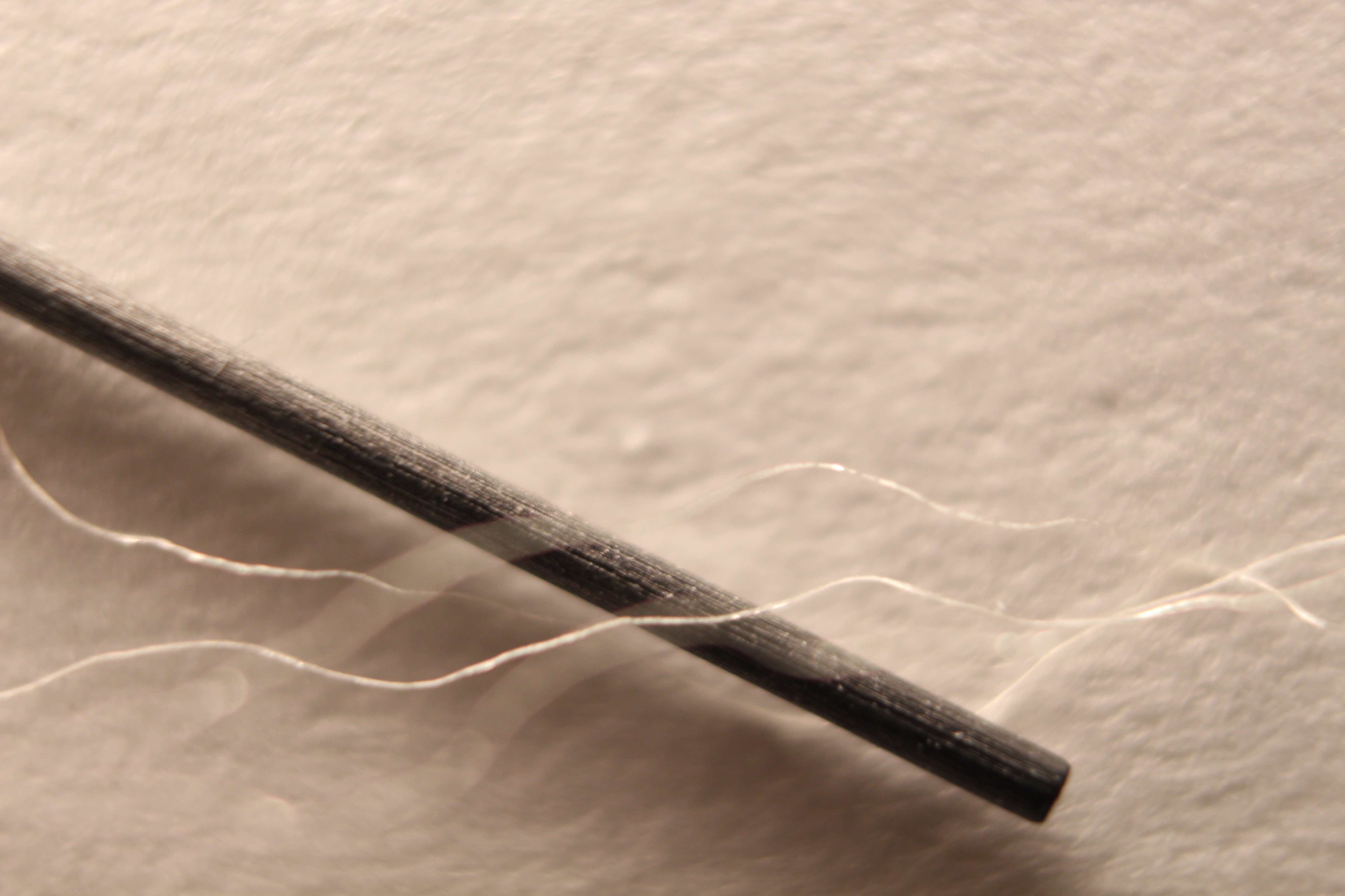 Macro and Micro Picture of the Day 2020-02-09