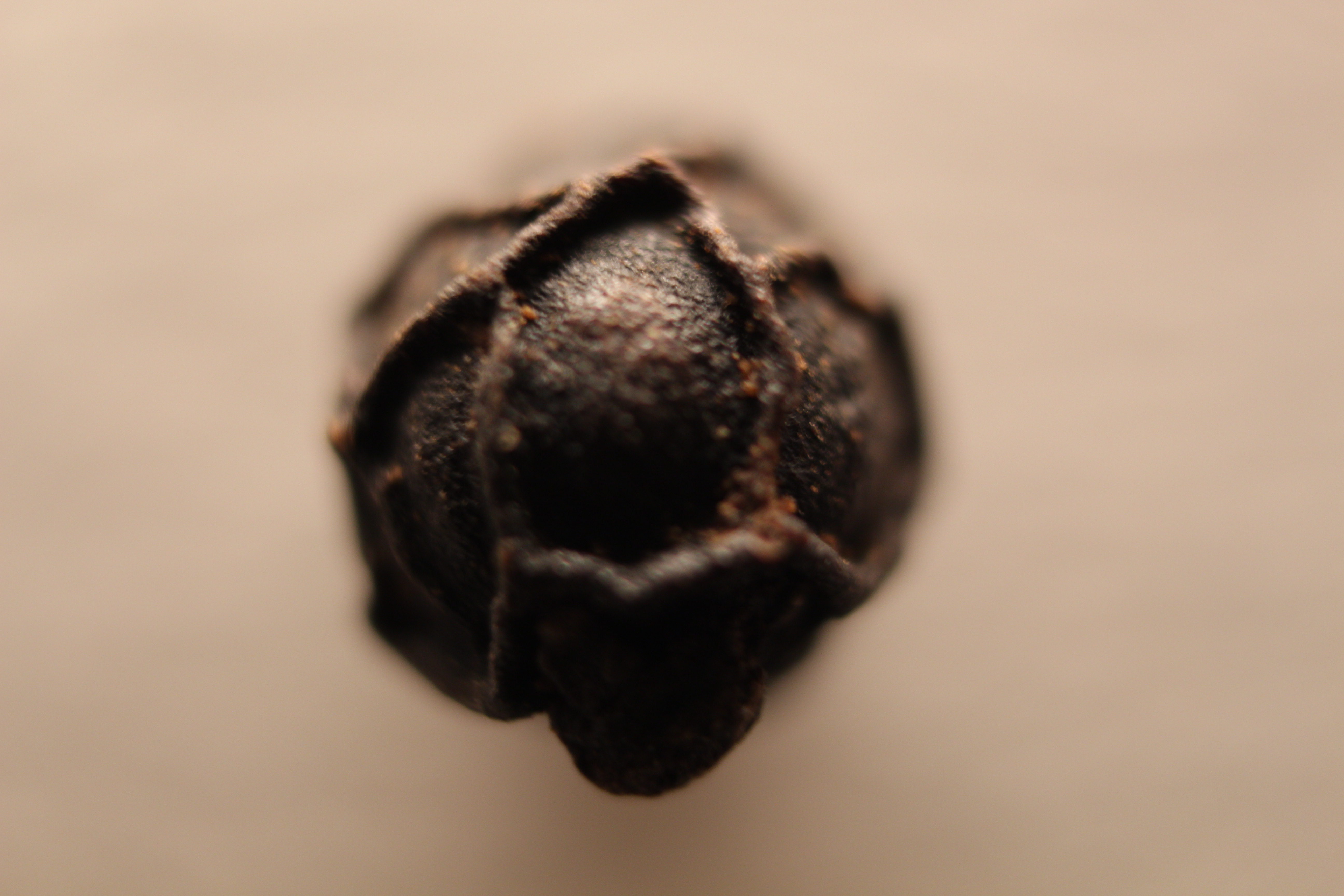 Macro and Micro Picture of the Day 2020-02-11