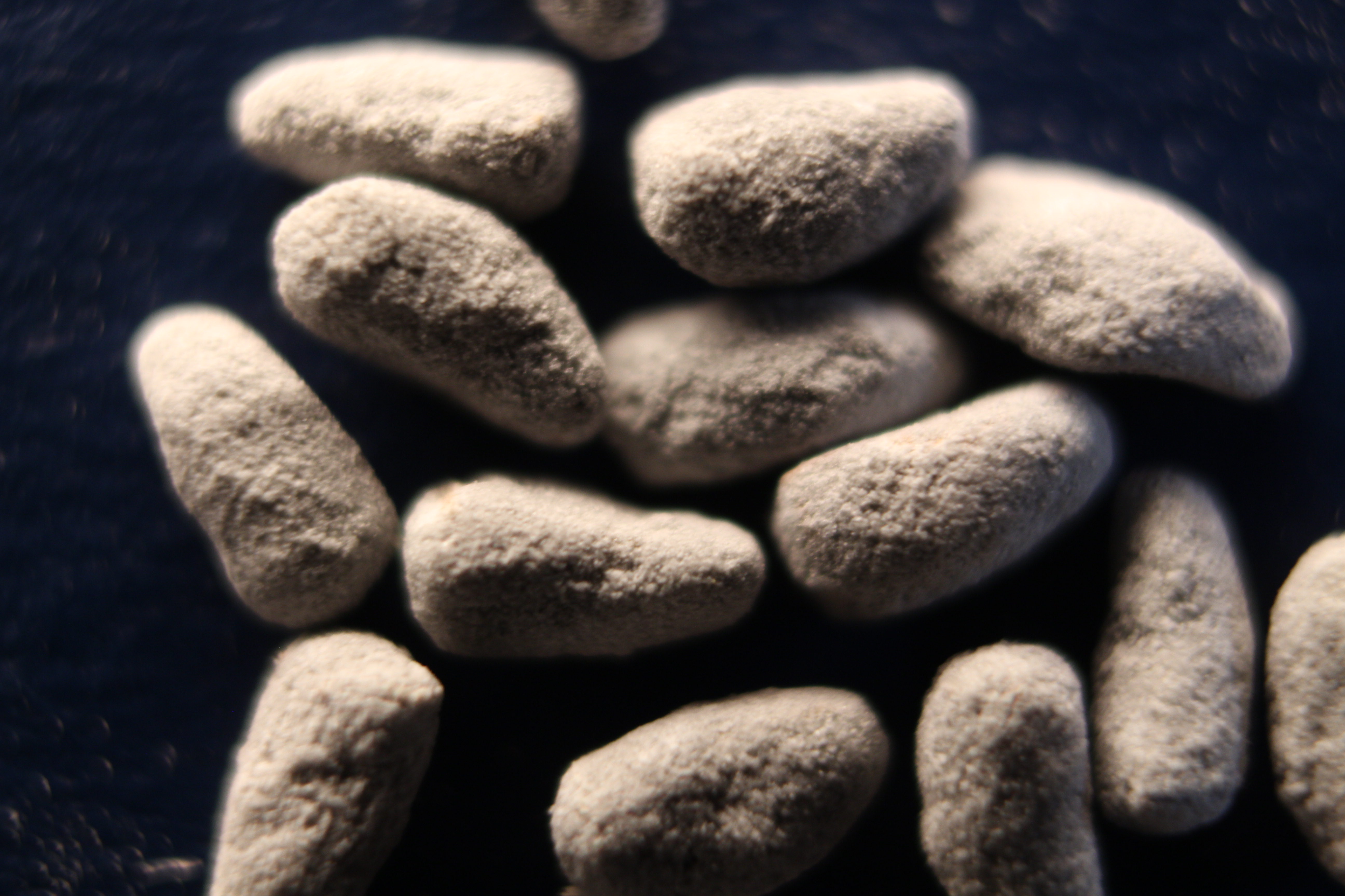 Macro and Micro Picture of the Day 2020-02-17