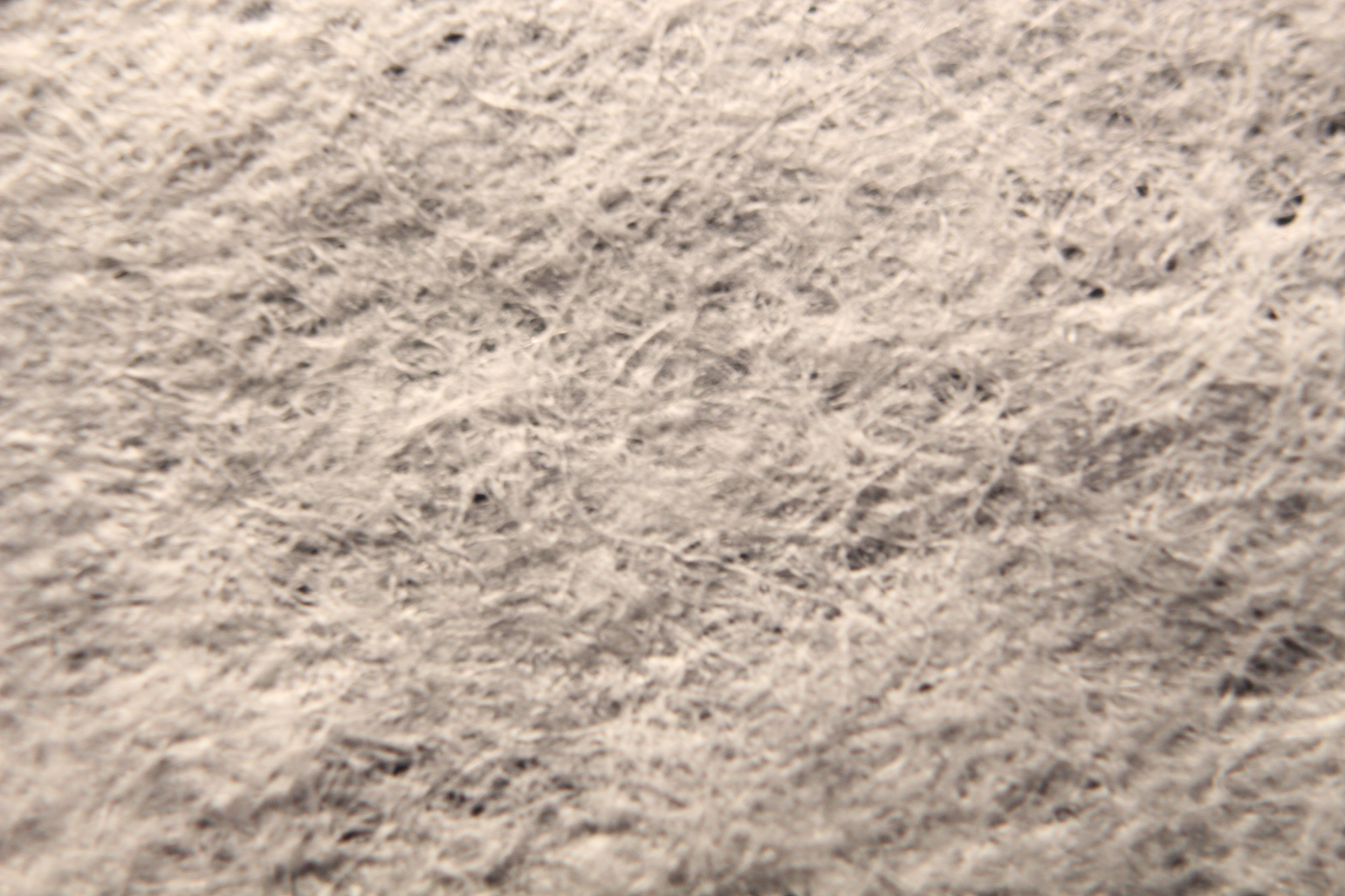 Macro and Micro Picture of the Day 2020-02-28