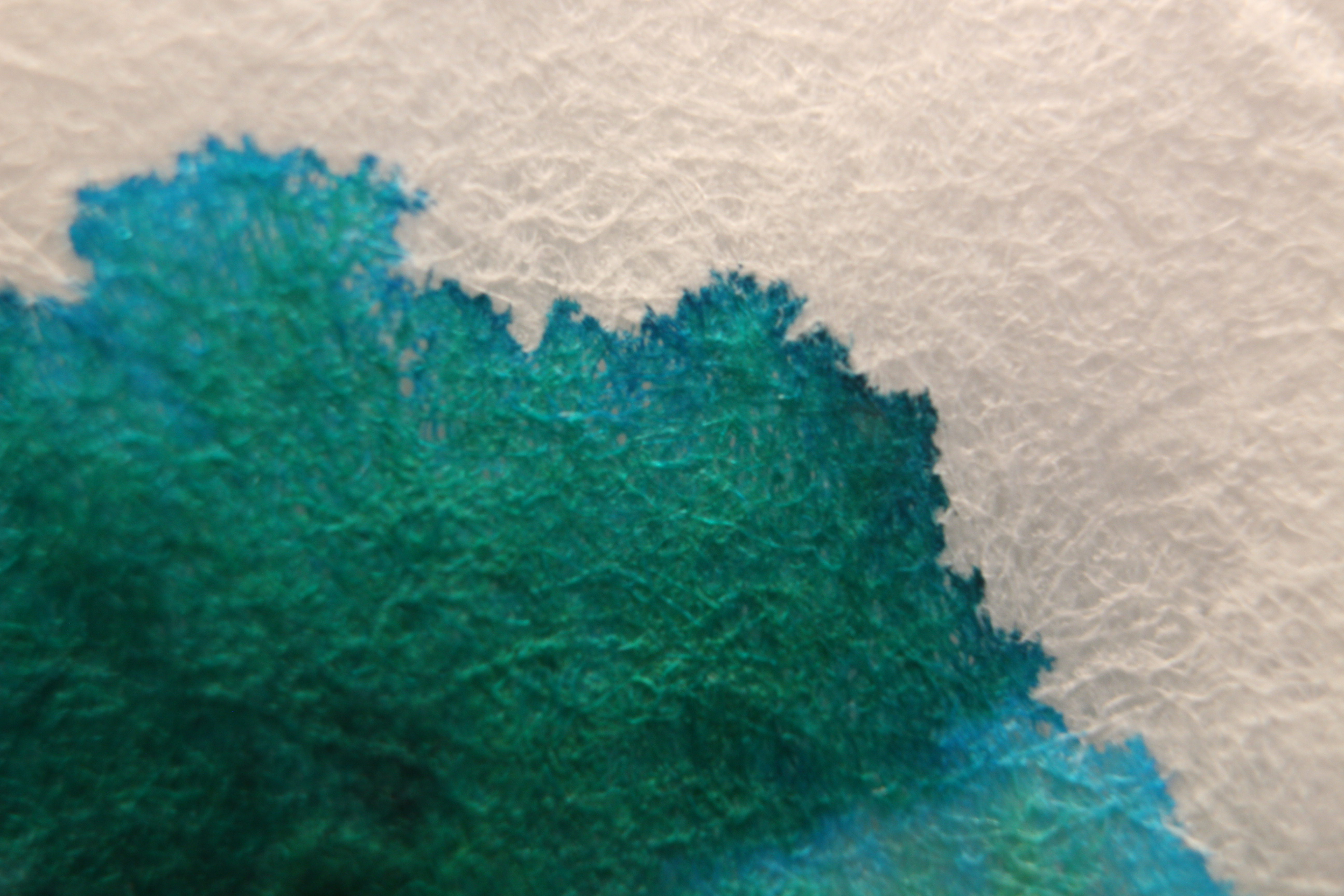 Macro and Micro Picture of the Day 2020-03-02