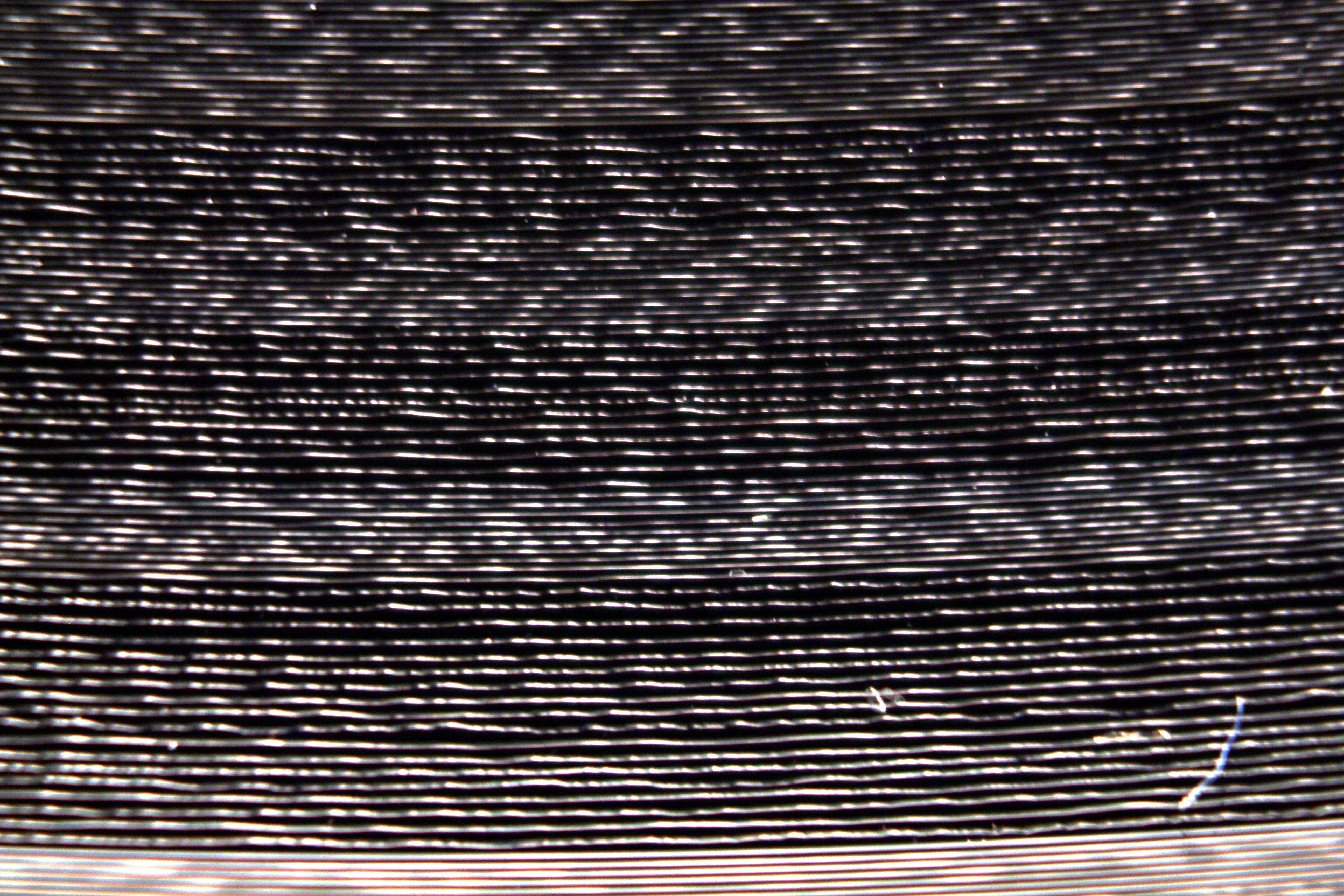 Macro and Micro Picture of the Day 2020-03-04