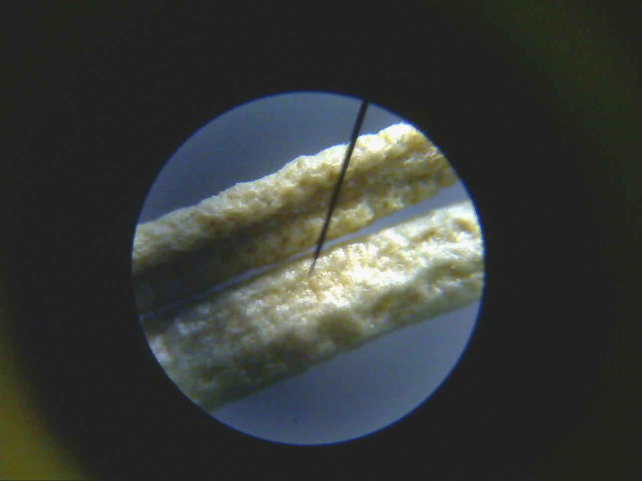 Macro and Micro Picture of the Day 2020-03-07