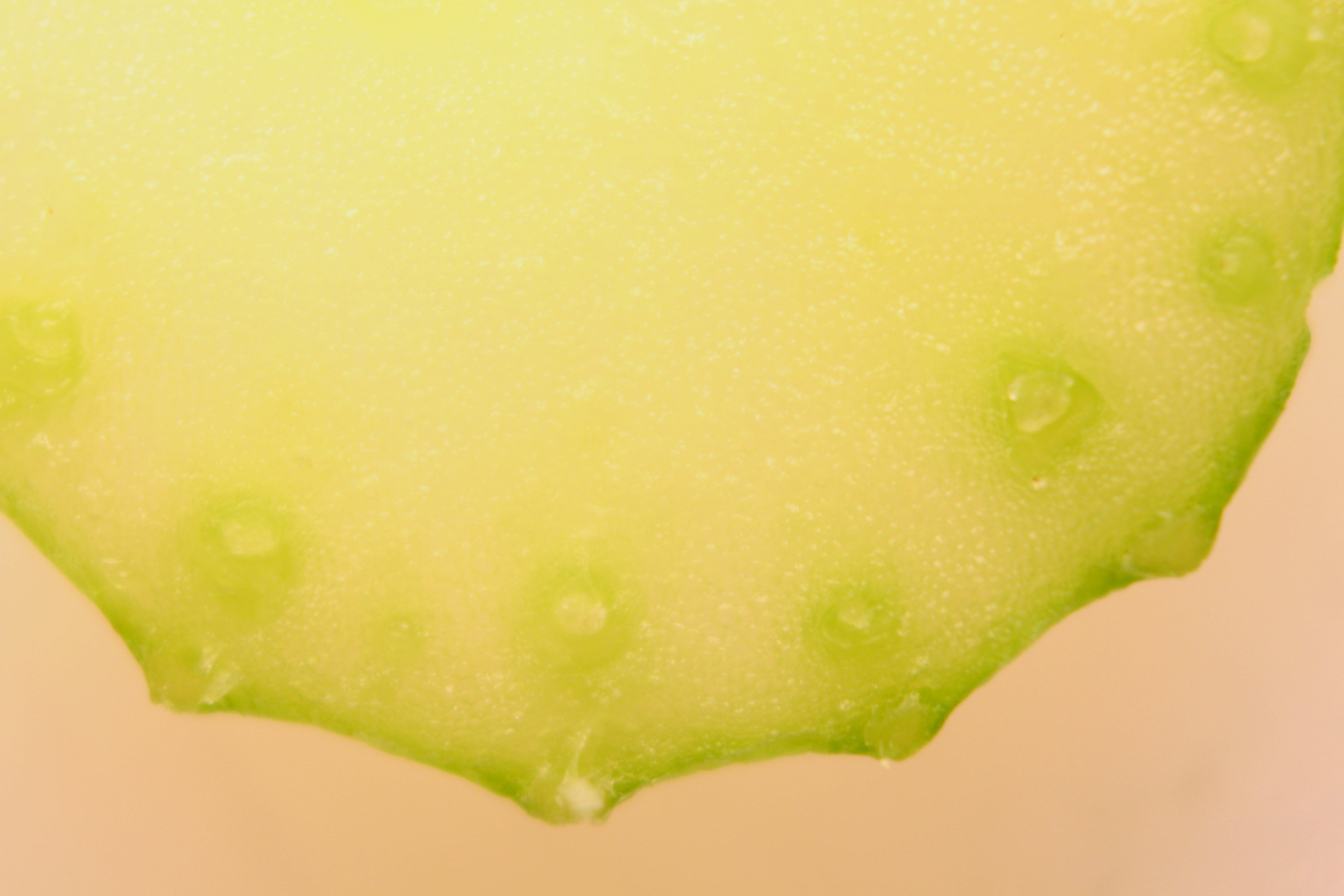 Macro and Micro Picture of the Day 2020-03-11