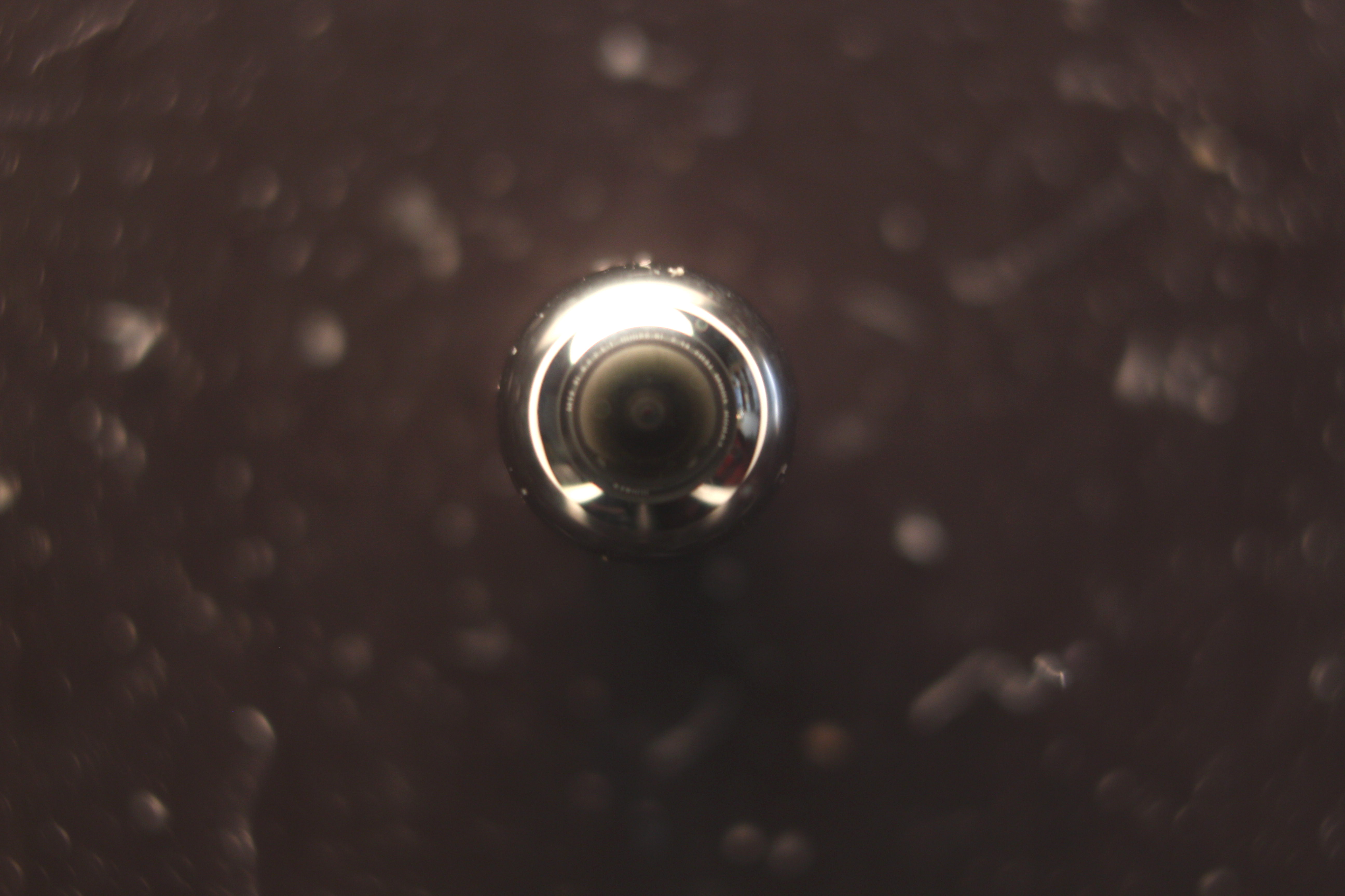 Macro and Micro Picture of the Day 2020-03-12