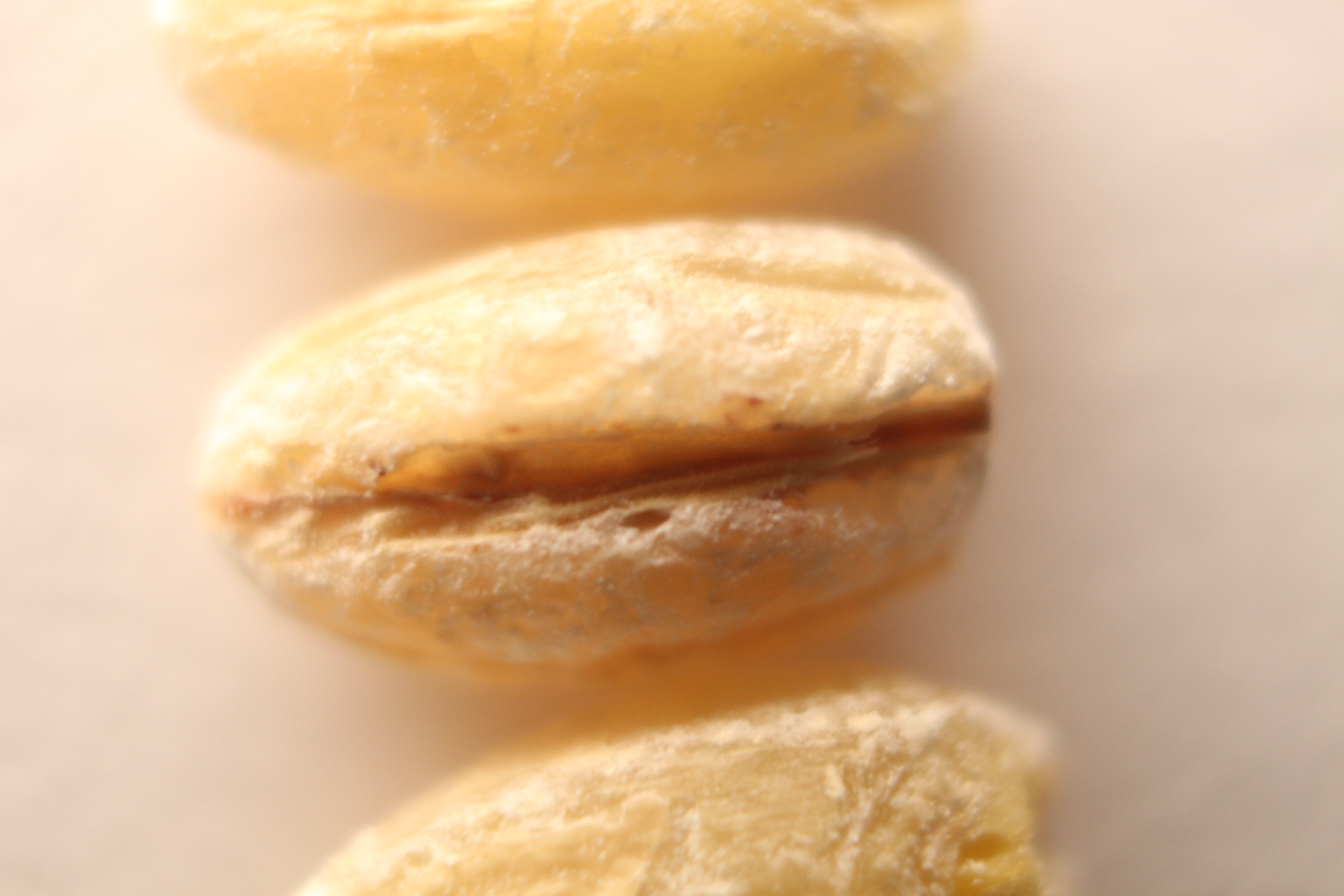 Macro and Micro Picture of the Day 2020-03-13