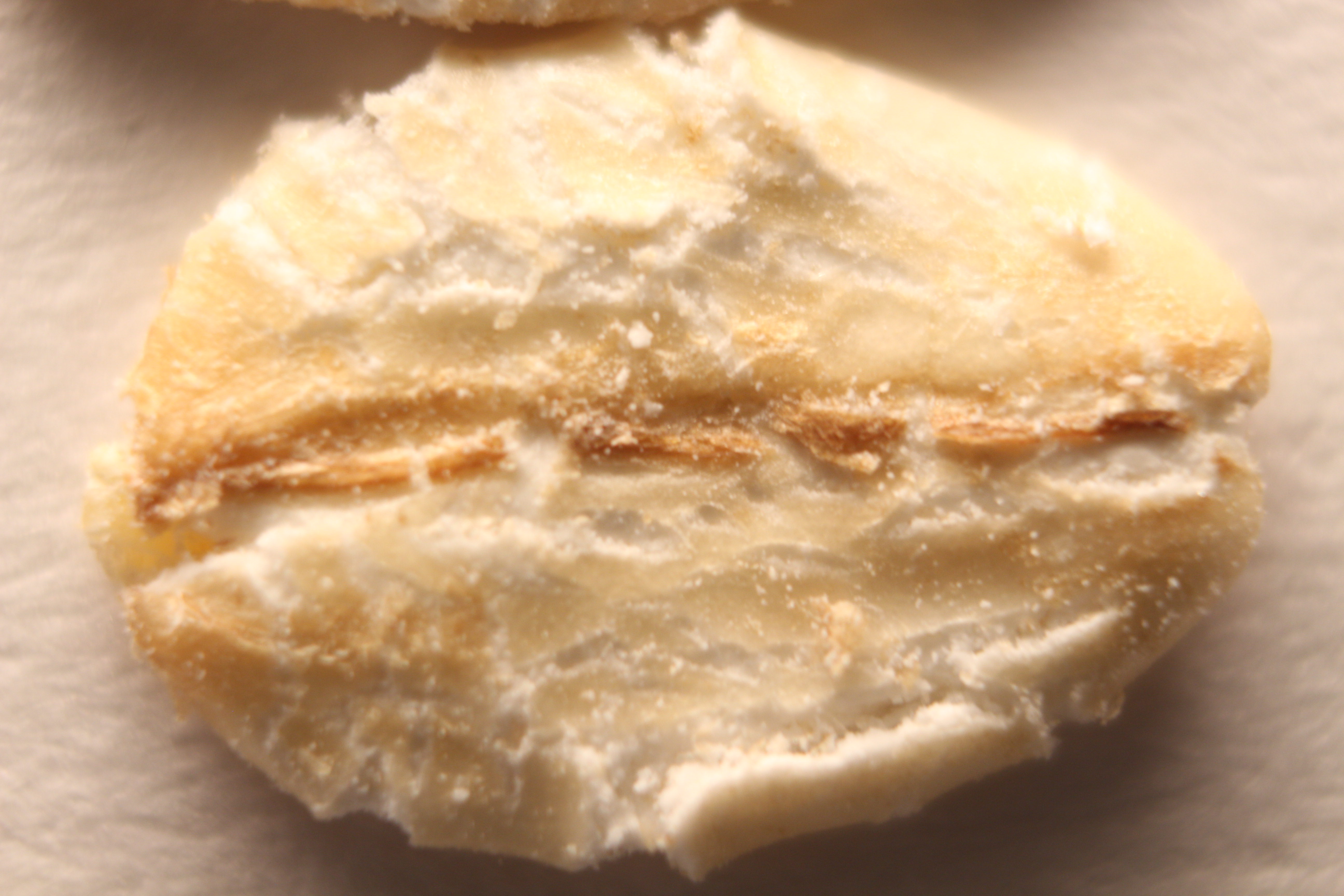 Macro and Micro Picture of the Day 2020-03-14