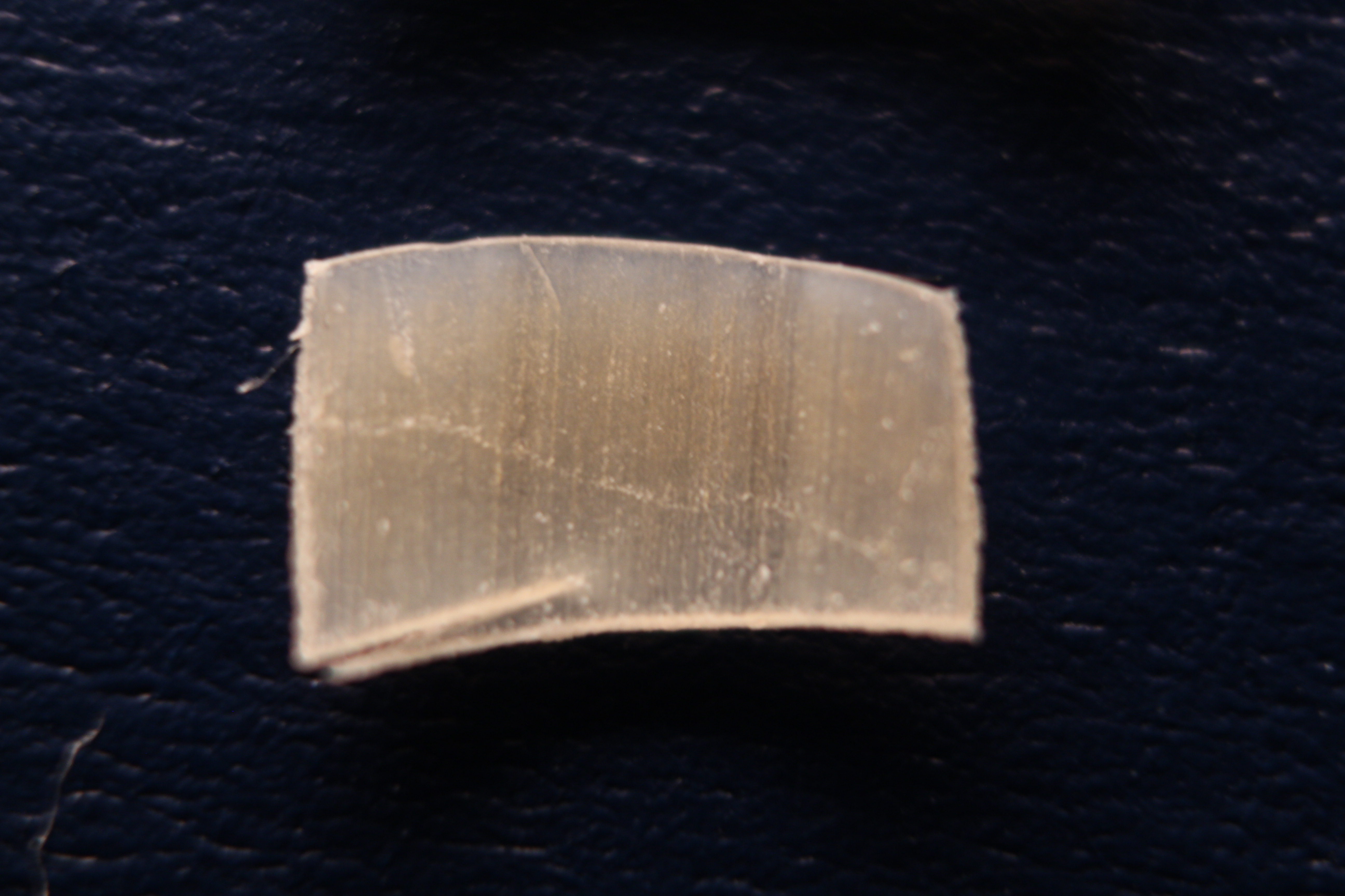 Macro and Micro Picture of the Day 2020-03-16