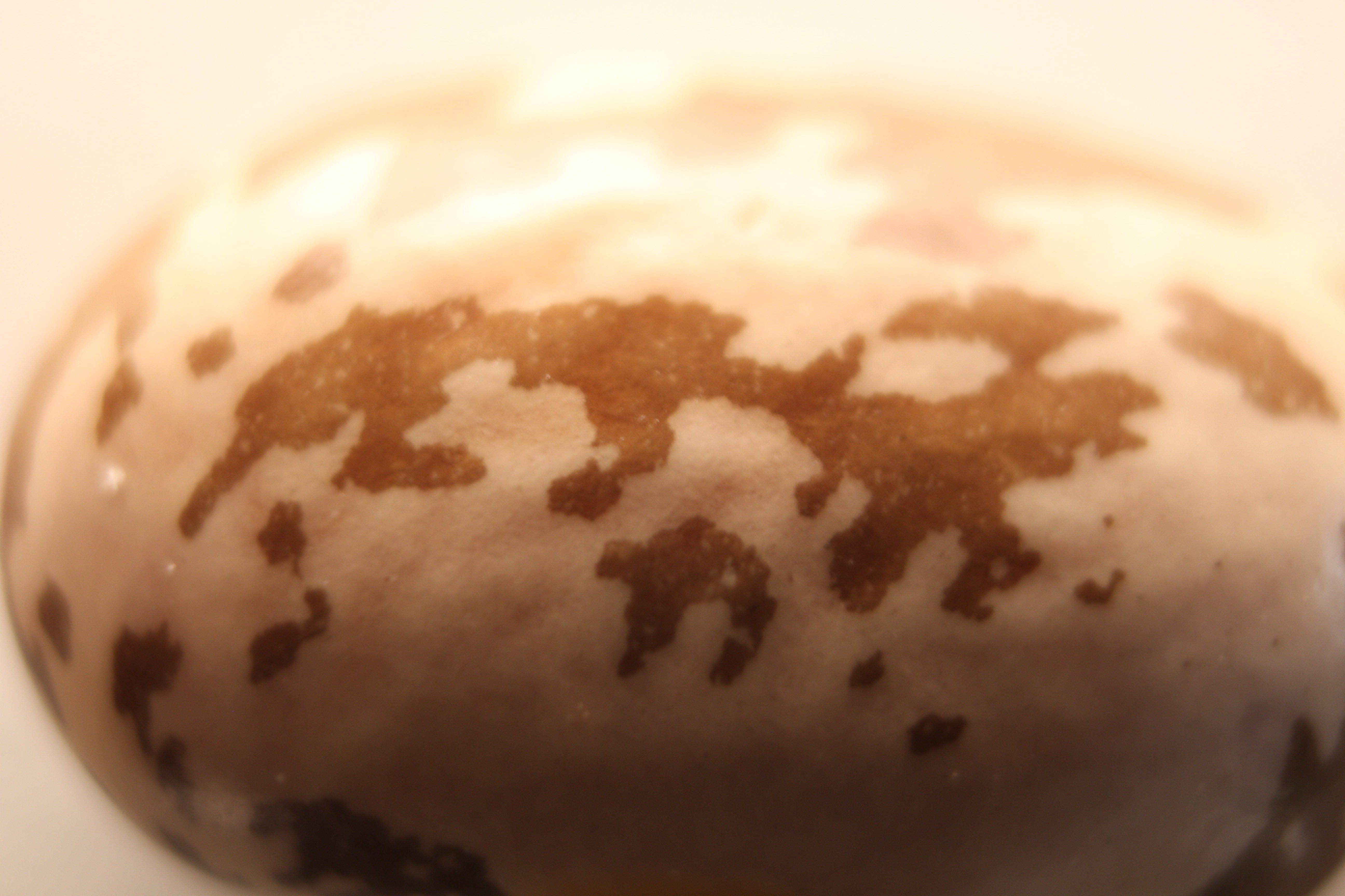 Macro and Micro Picture of the Day 2020-03-21