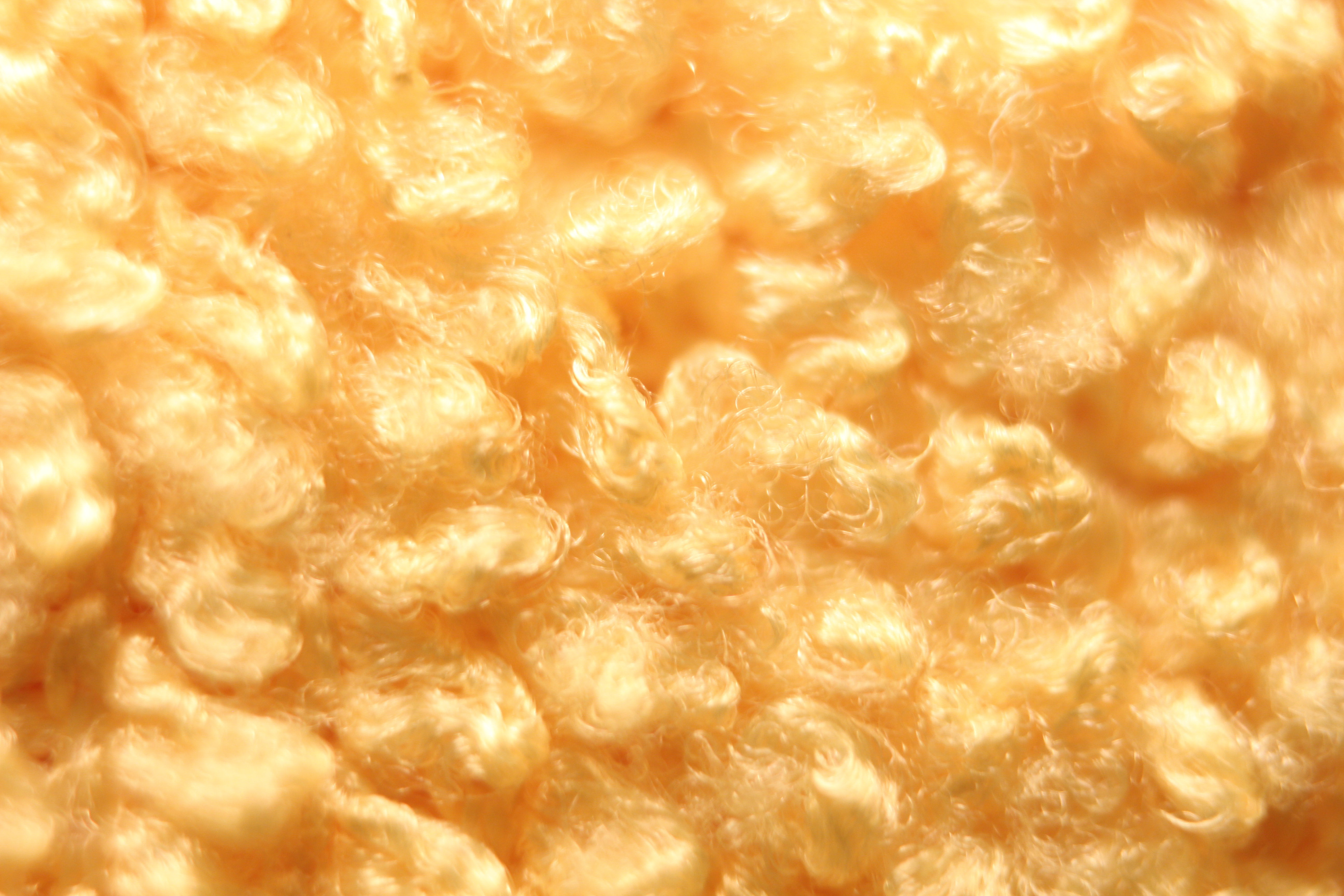 Macro and Micro Picture of the Day 2020-03-23