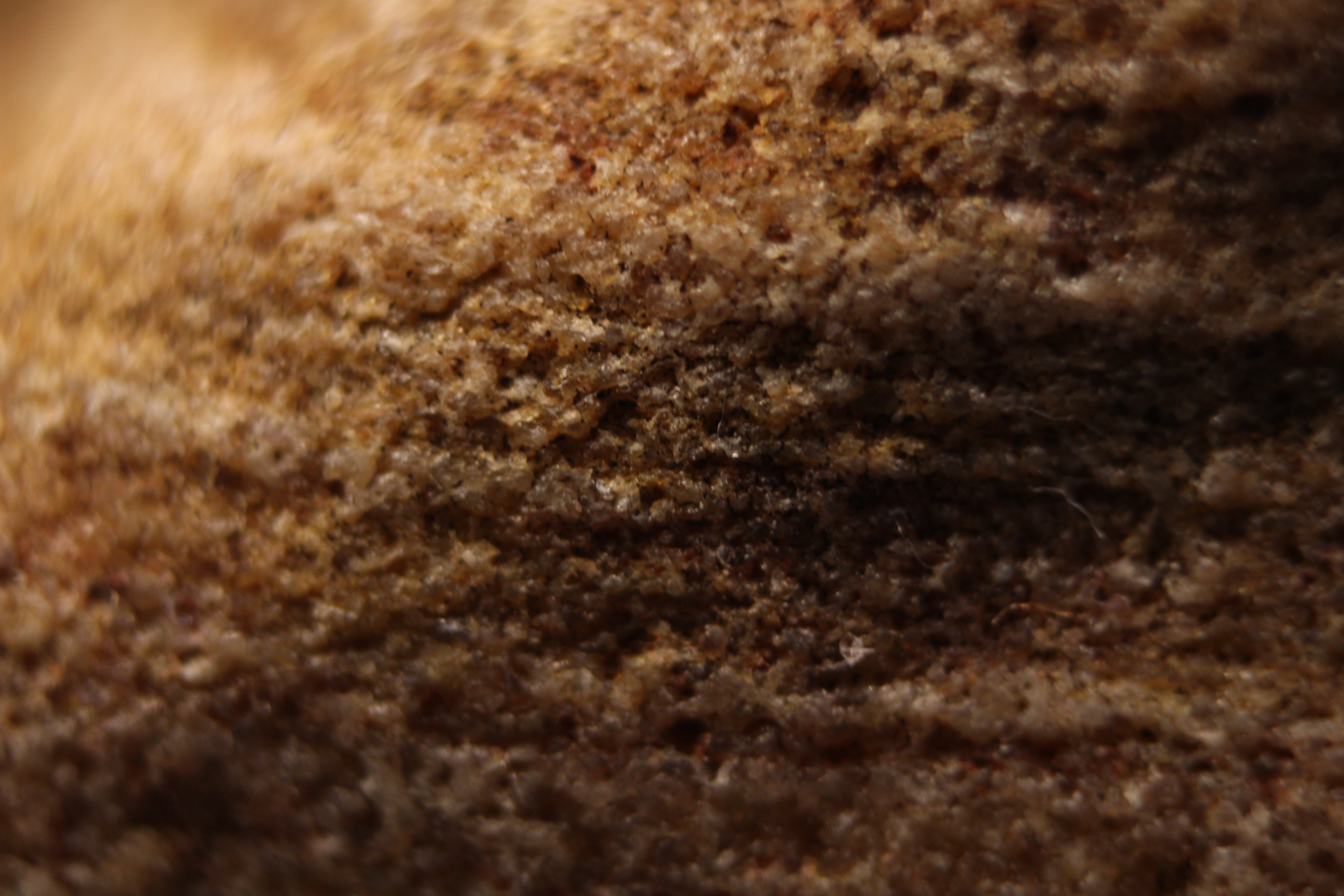 Macro and Micro Picture of the Day 2020-03-25