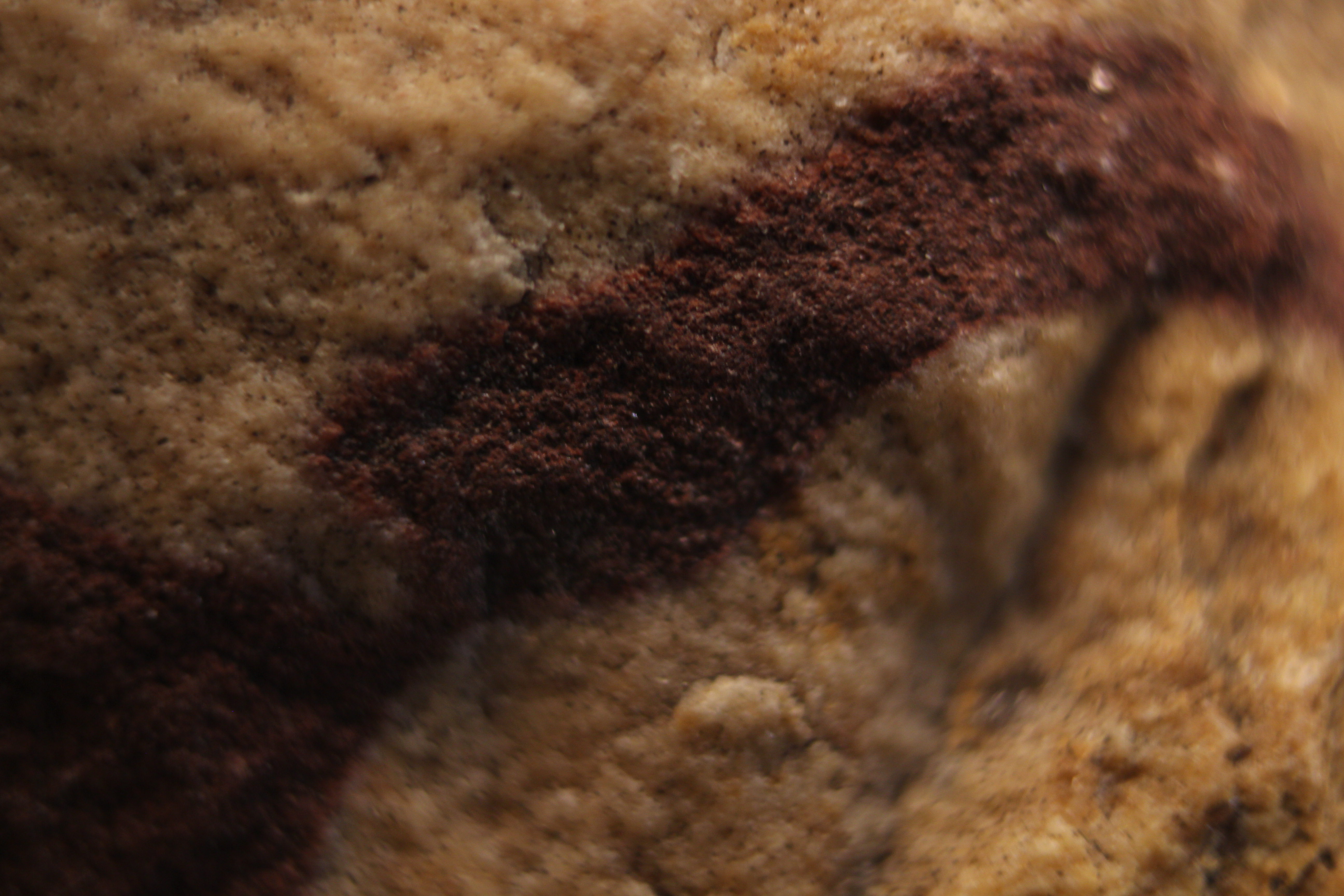 Macro and Micro Picture of the Day 2020-03-26