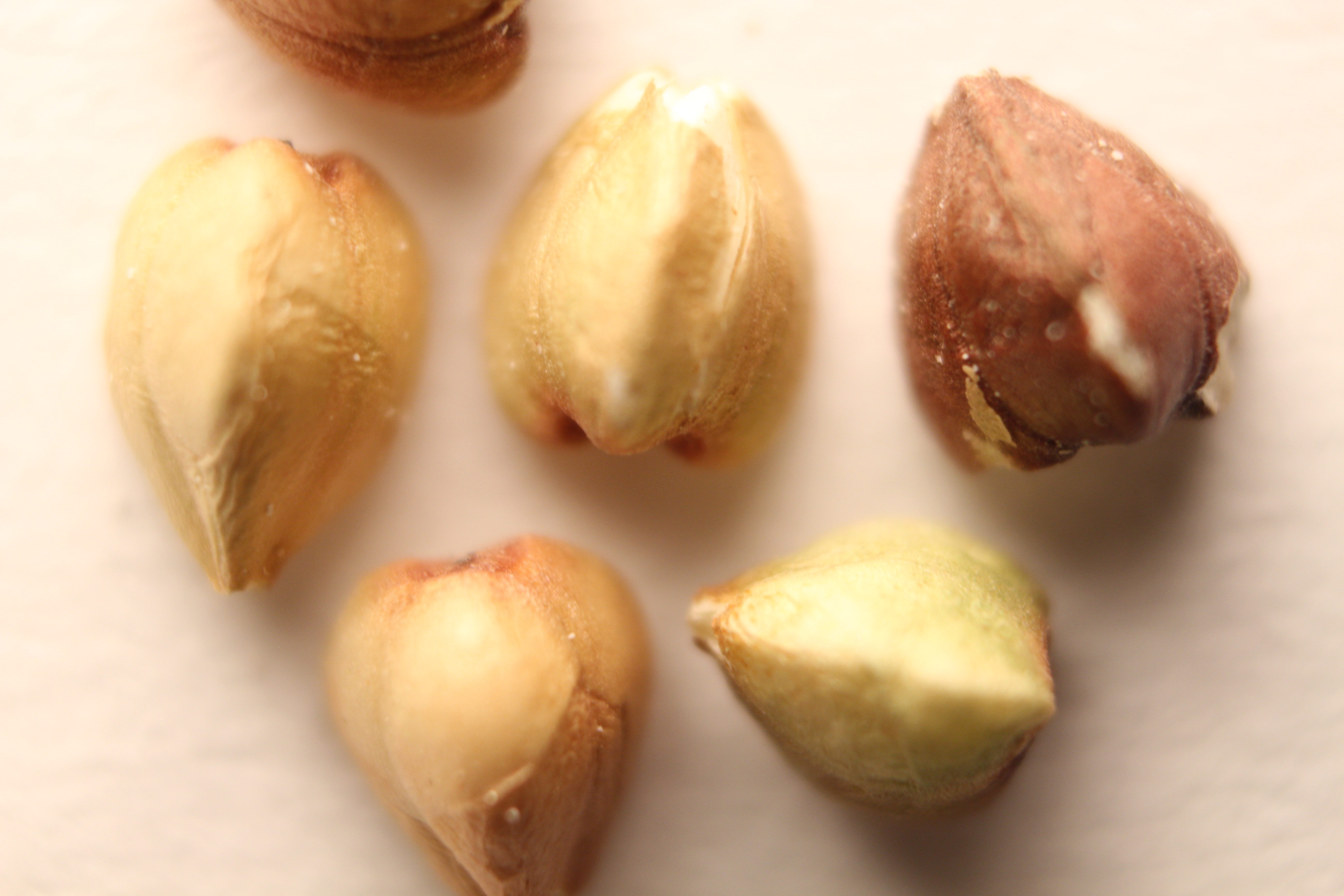 Macro and Micro Picture of the Day 2020-03-27