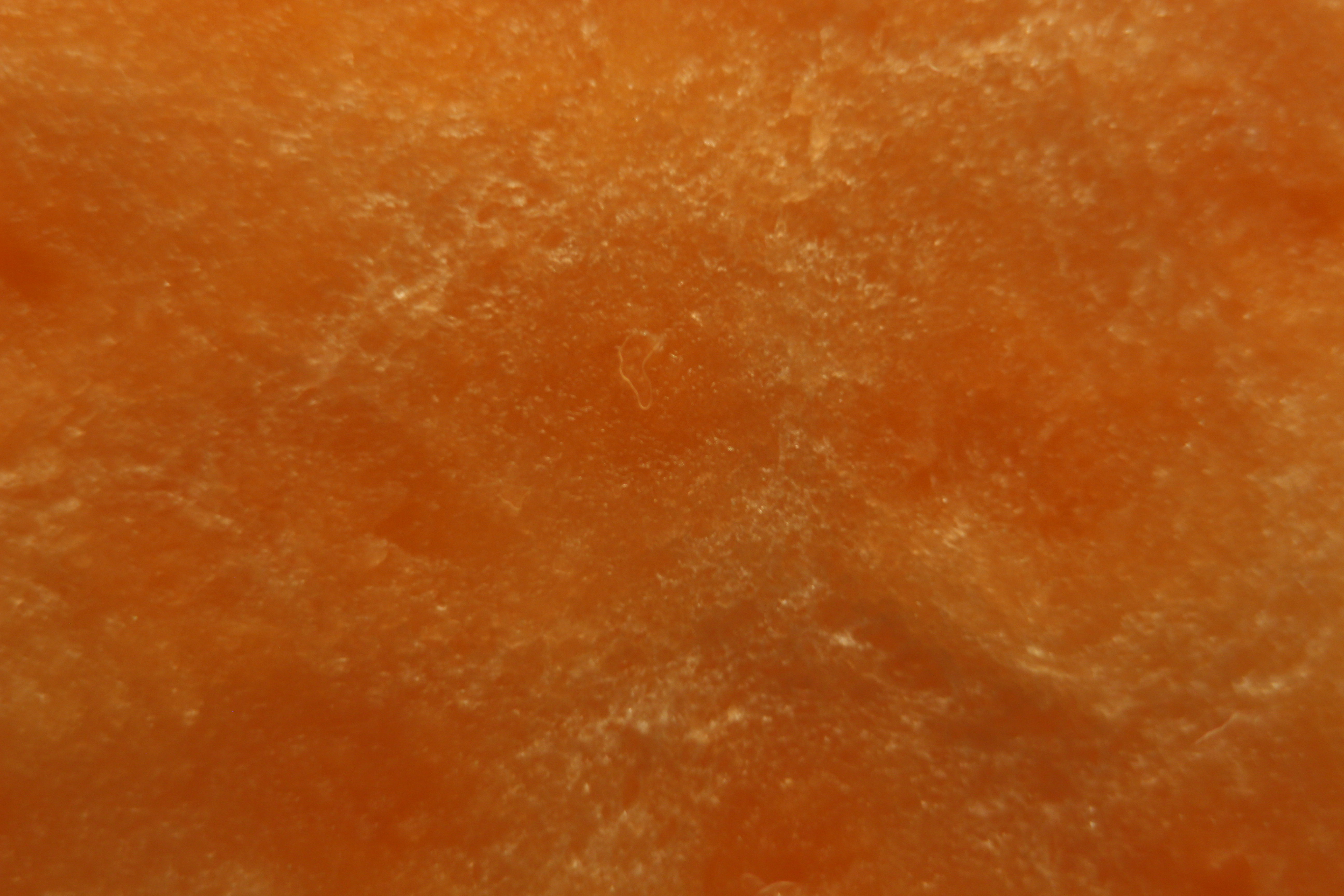 Macro and Micro Picture of the Day 2020-04-05