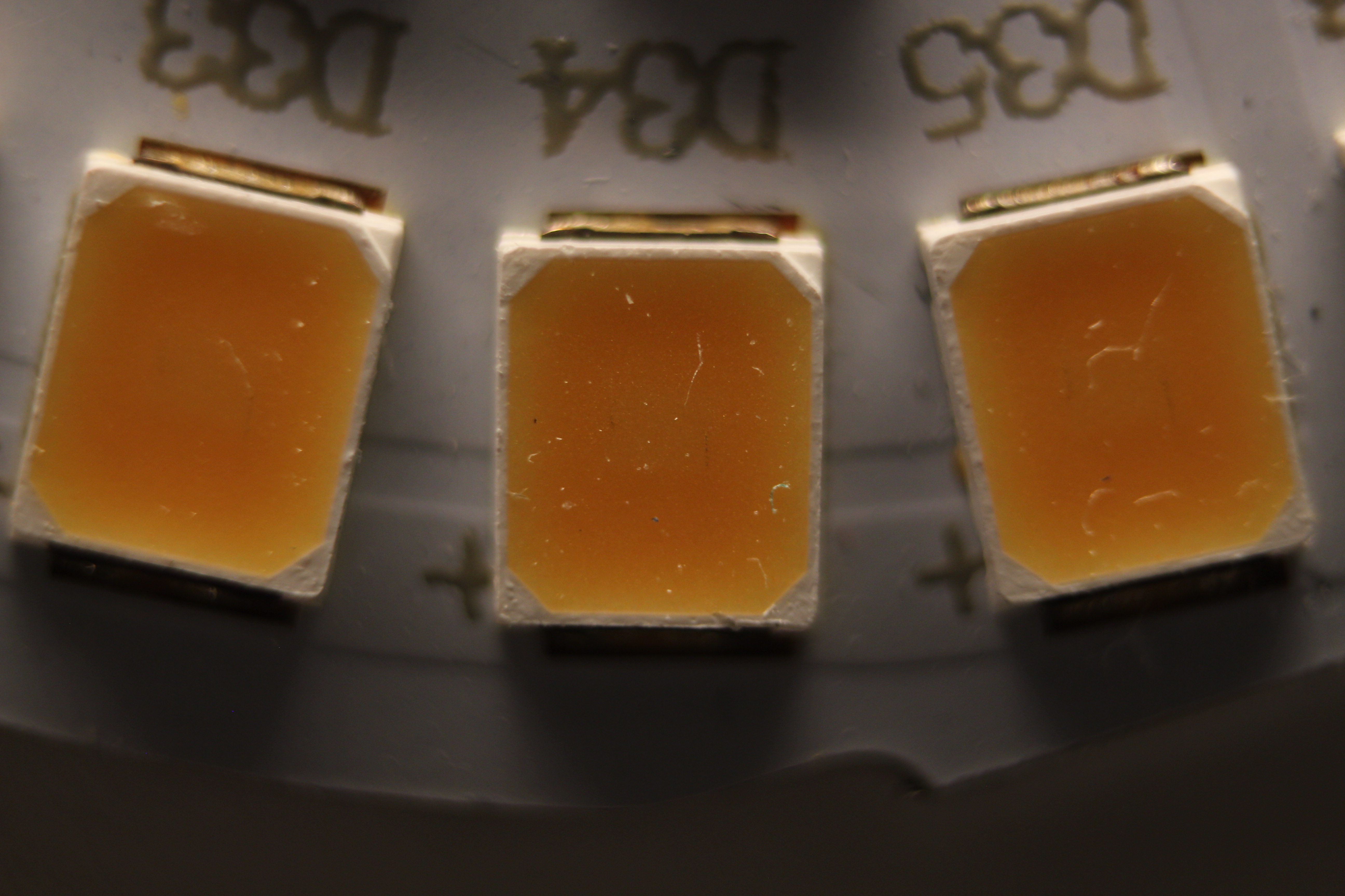 Macro and Micro Picture of the Day 2020-04-15