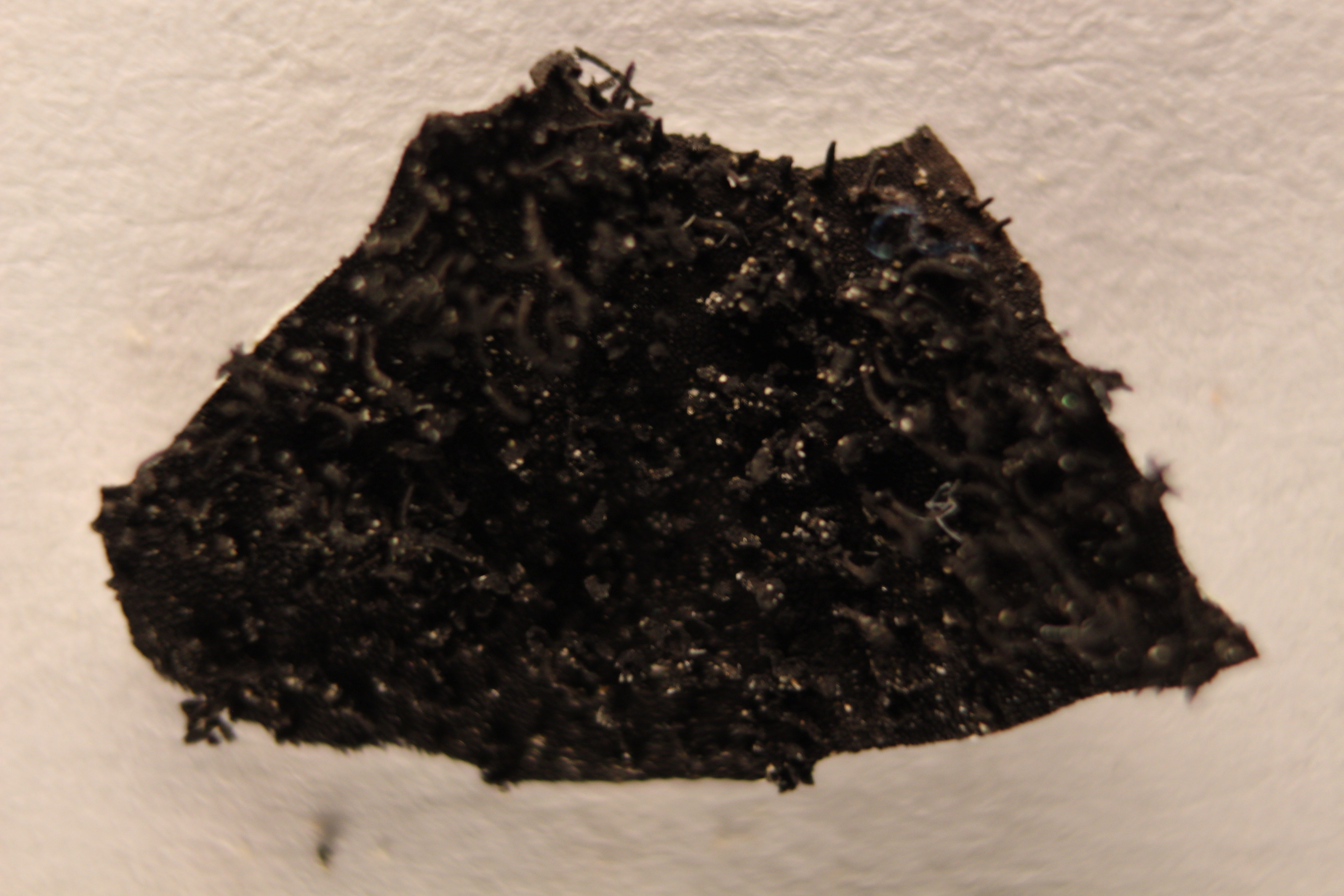 Macro and Micro Picture of the Day 2020-04-20