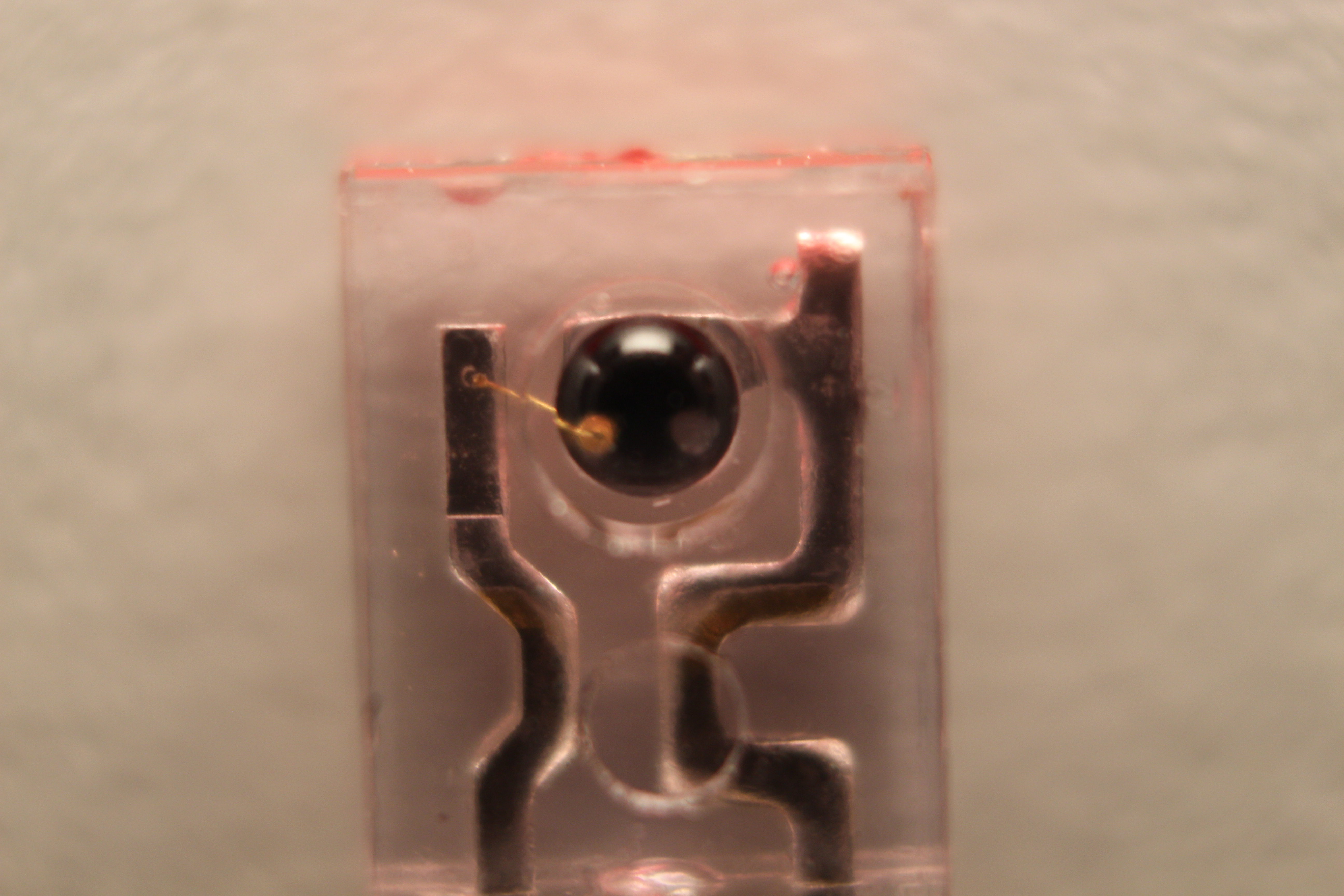 Macro and Micro Picture of the Day 2020-05-04