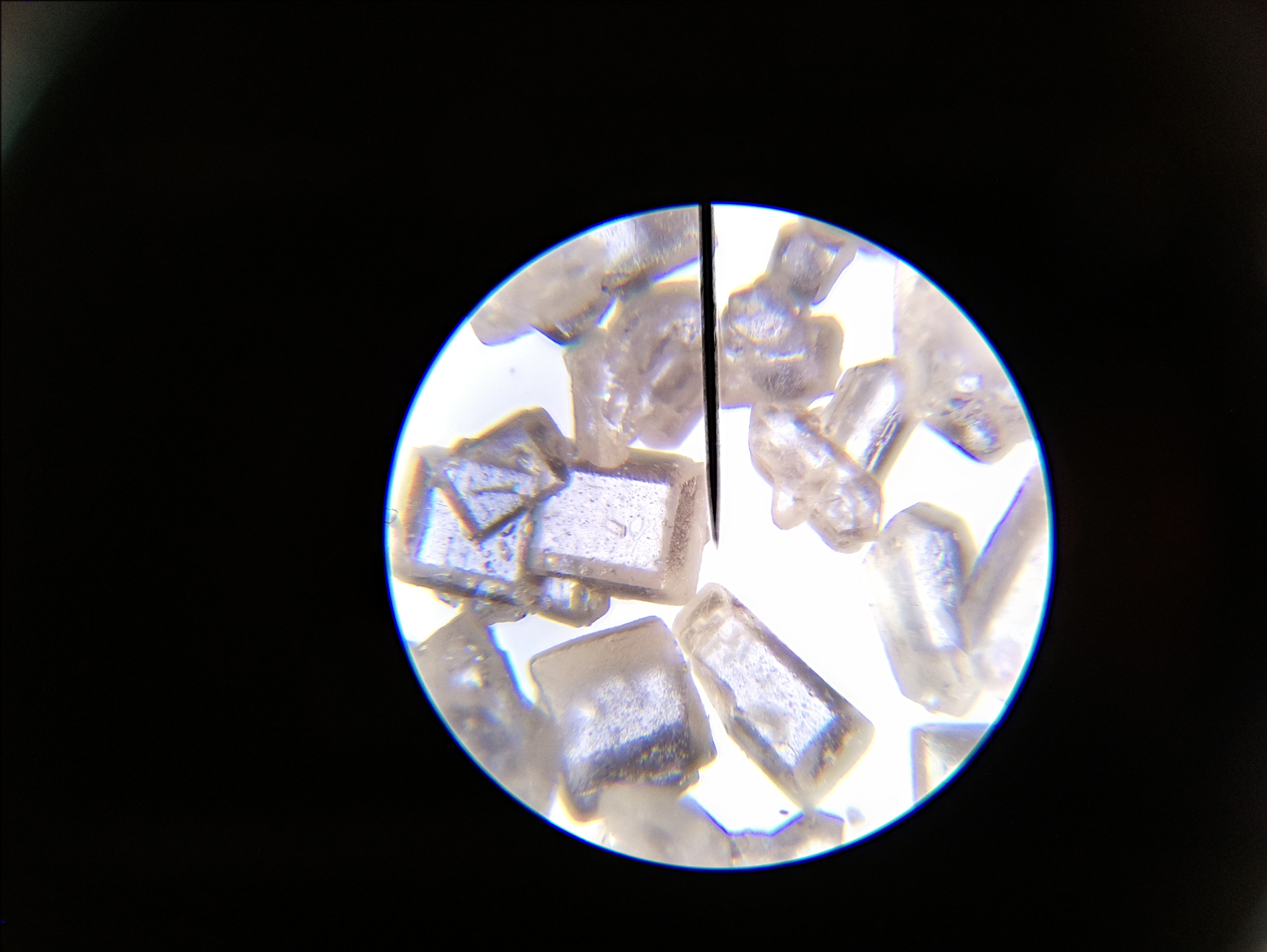 Macro and Micro Picture of the Day 2020-05-14