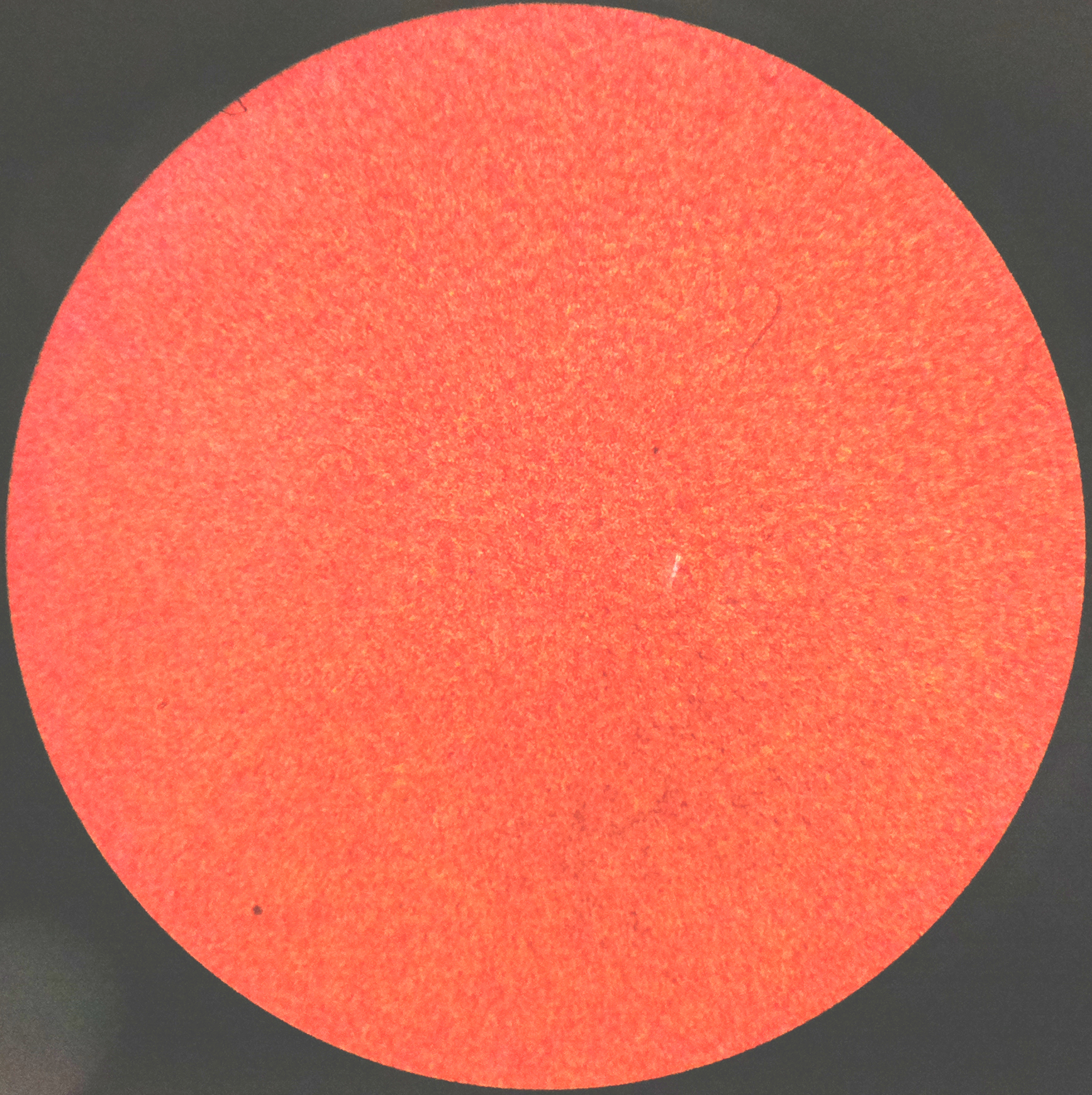 Macro and Micro Picture of the Day 2020-07-01