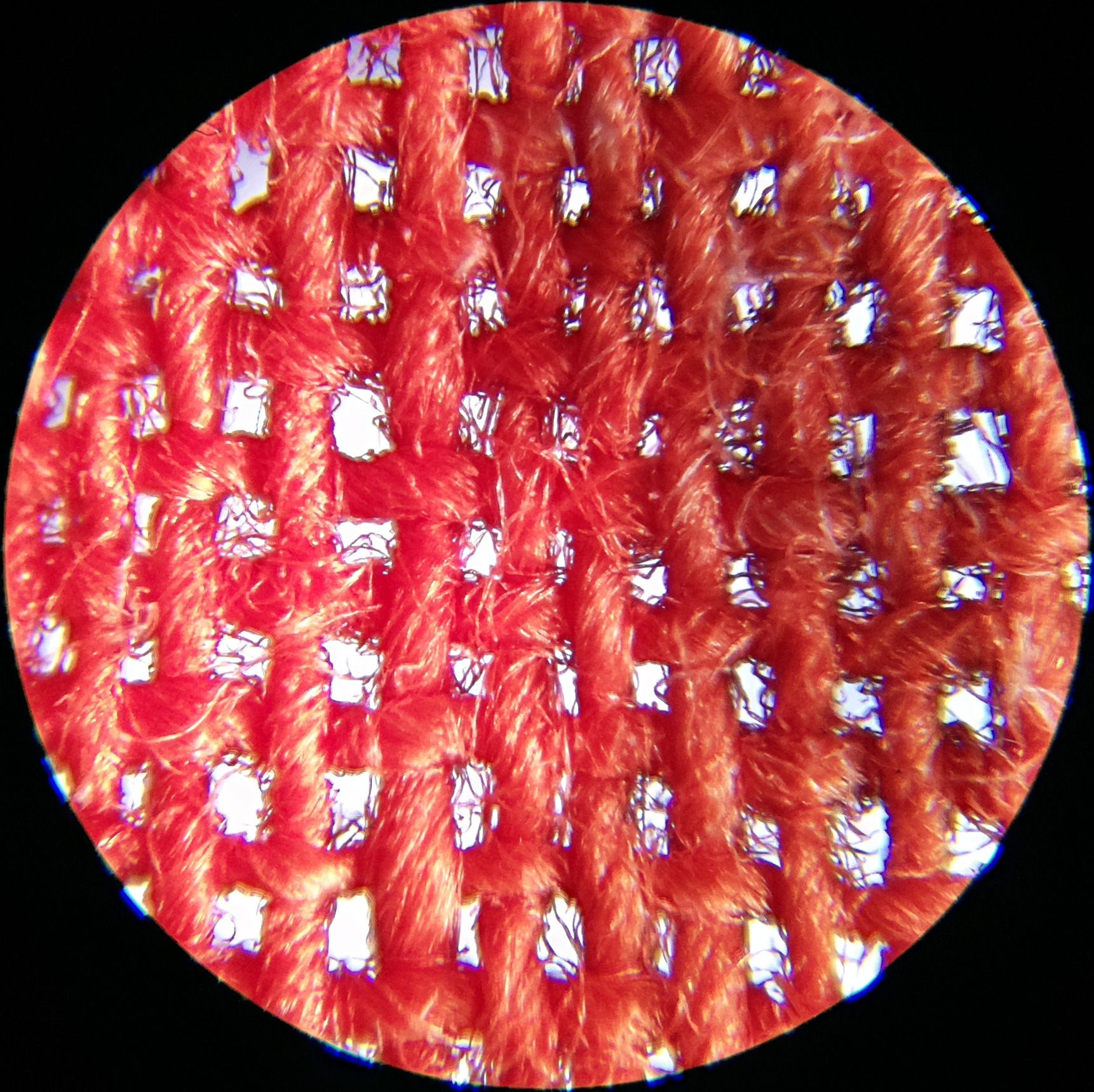 Macro and Micro Picture of the Day 2020-08-01