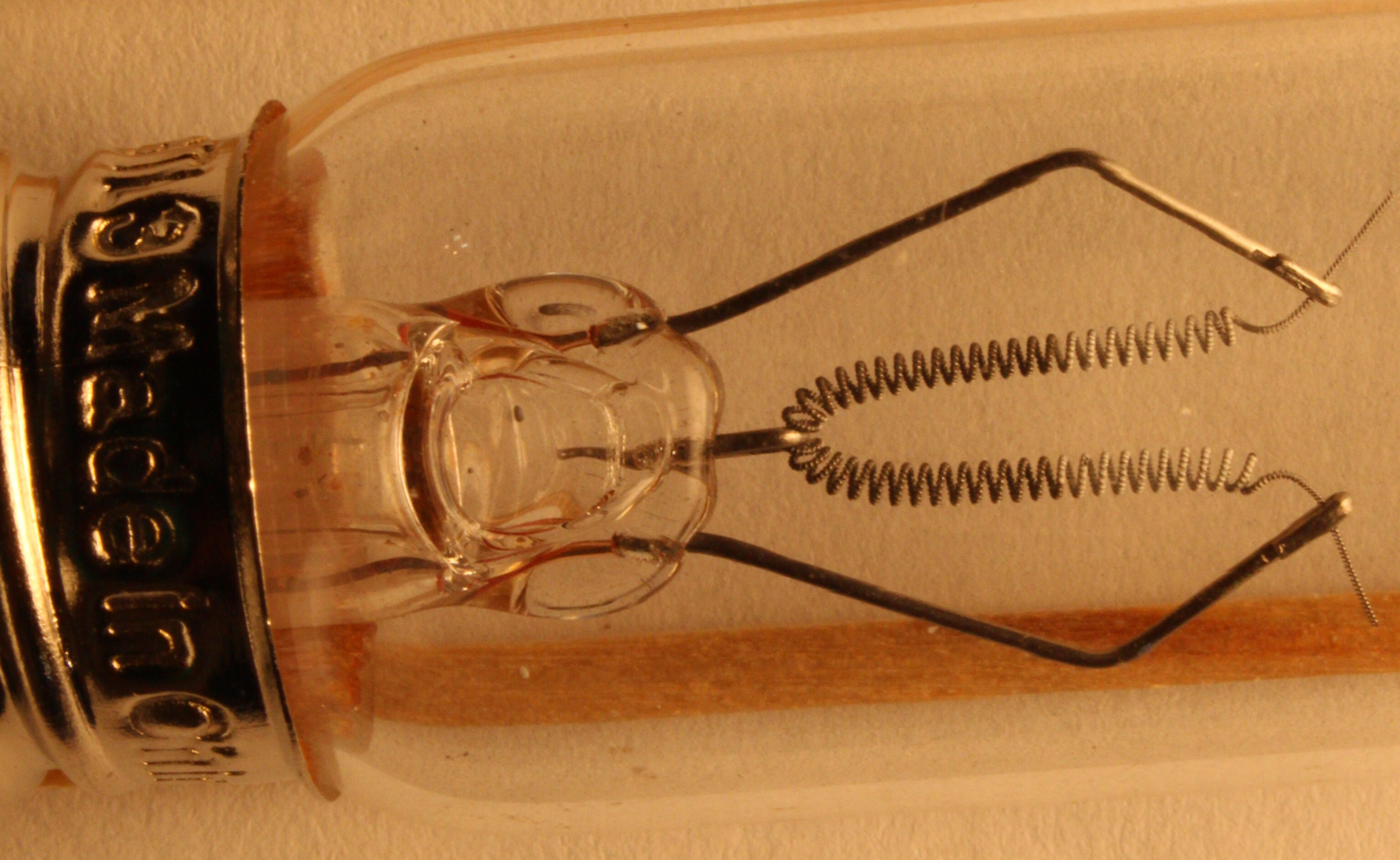 Macro and Micro Picture of the Day 2020-08-25