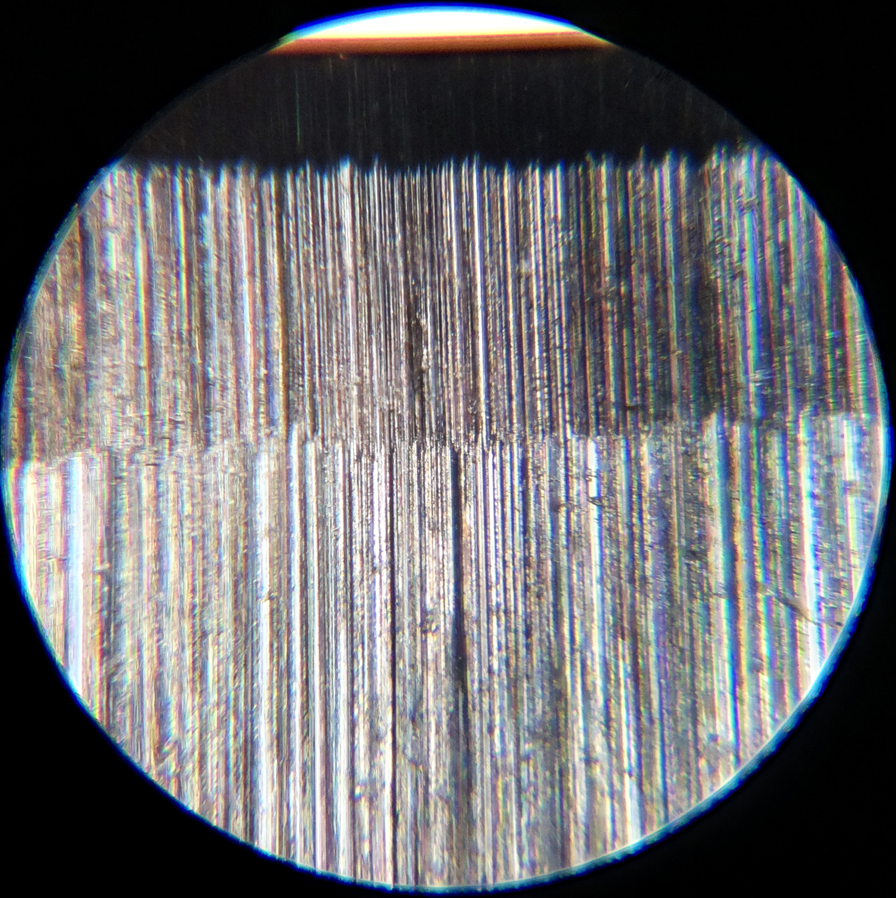 Macro and Micro Picture of the Day 2020-09-03