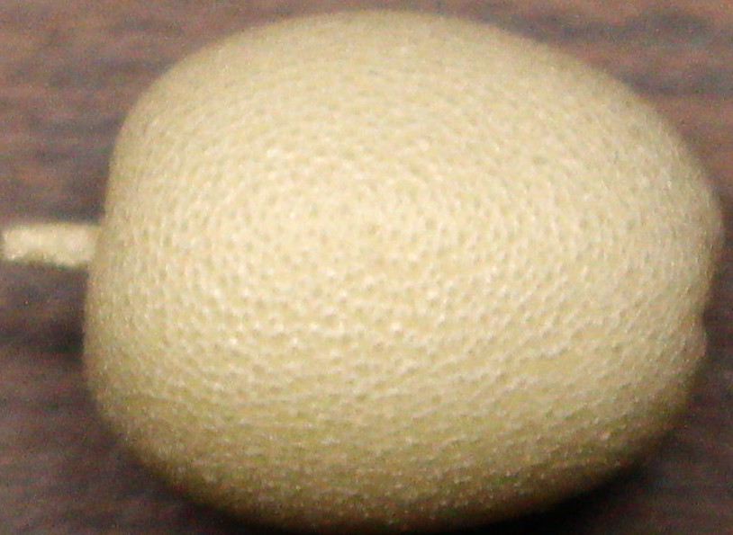 Macro and Micro Picture of the Day 2020-09-12