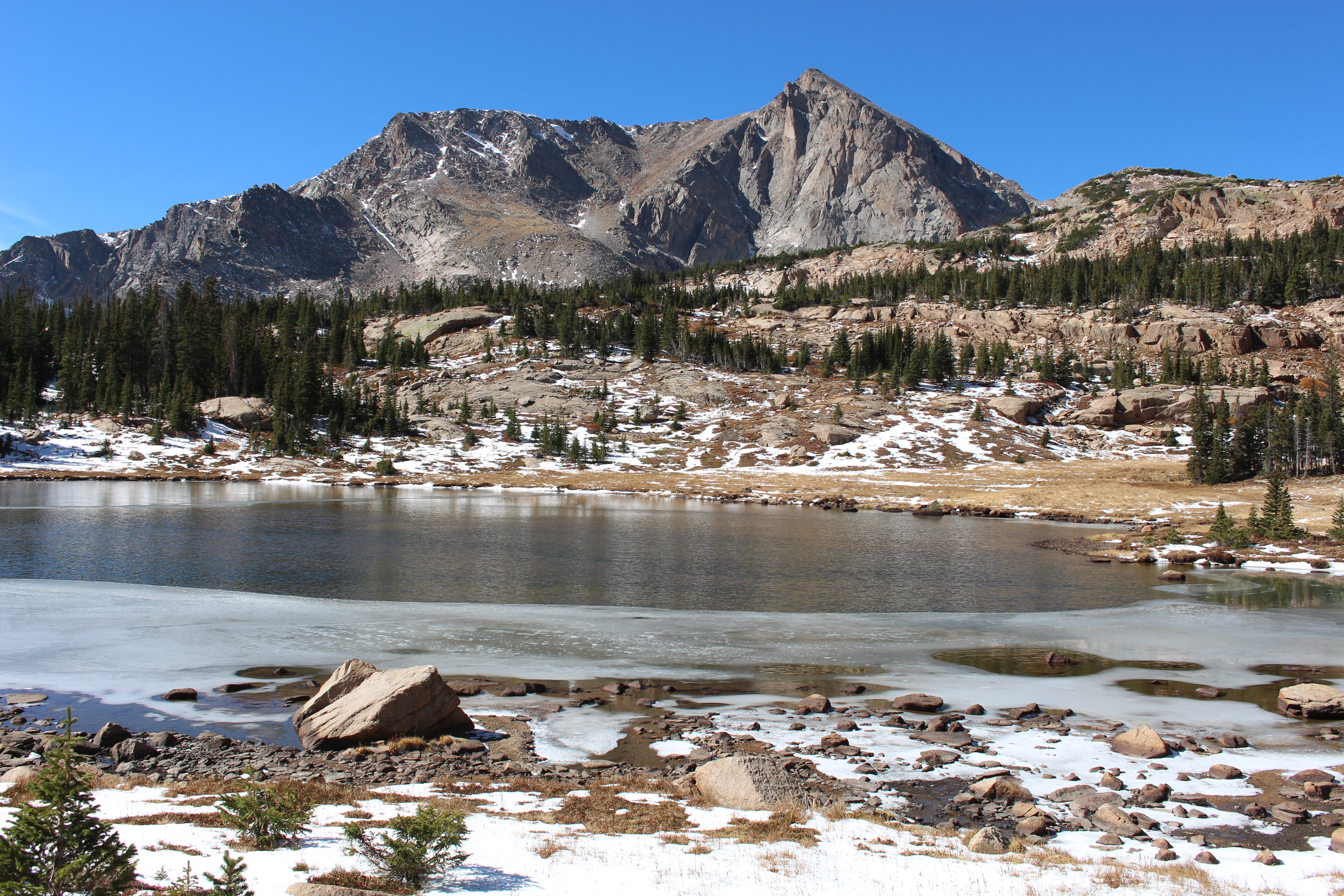 Macro and Micro Picture of the Day 2020-10-19