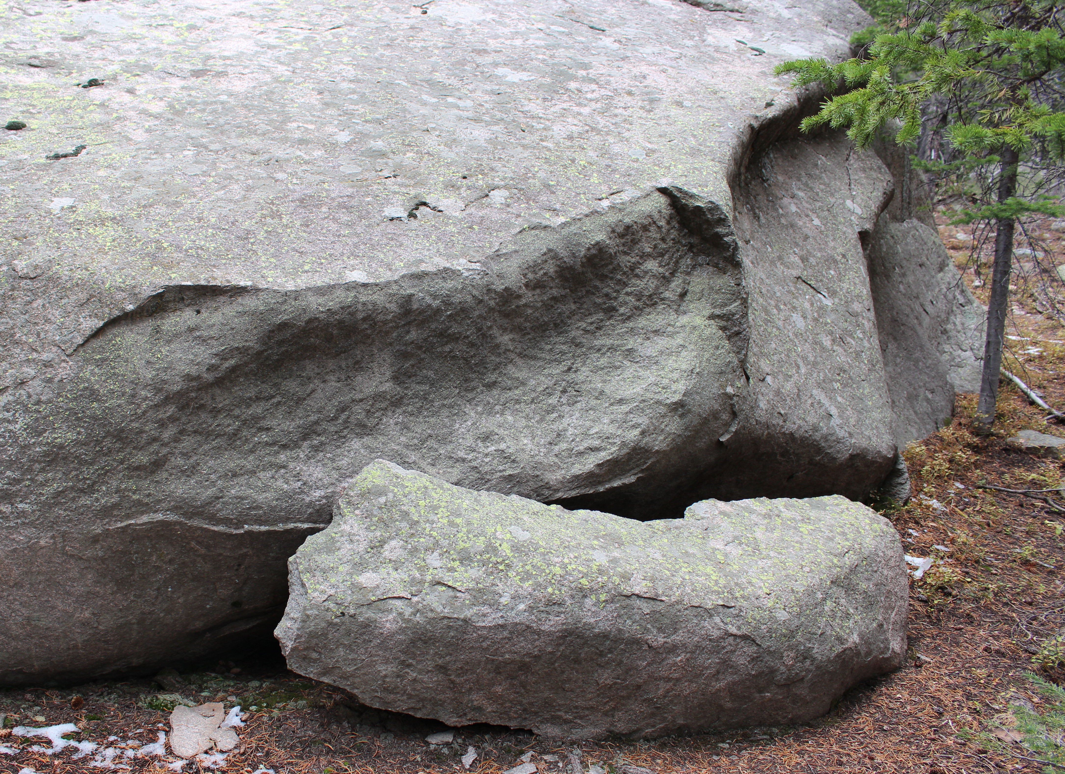 Macro and Micro Picture of the Day 2020-10-22