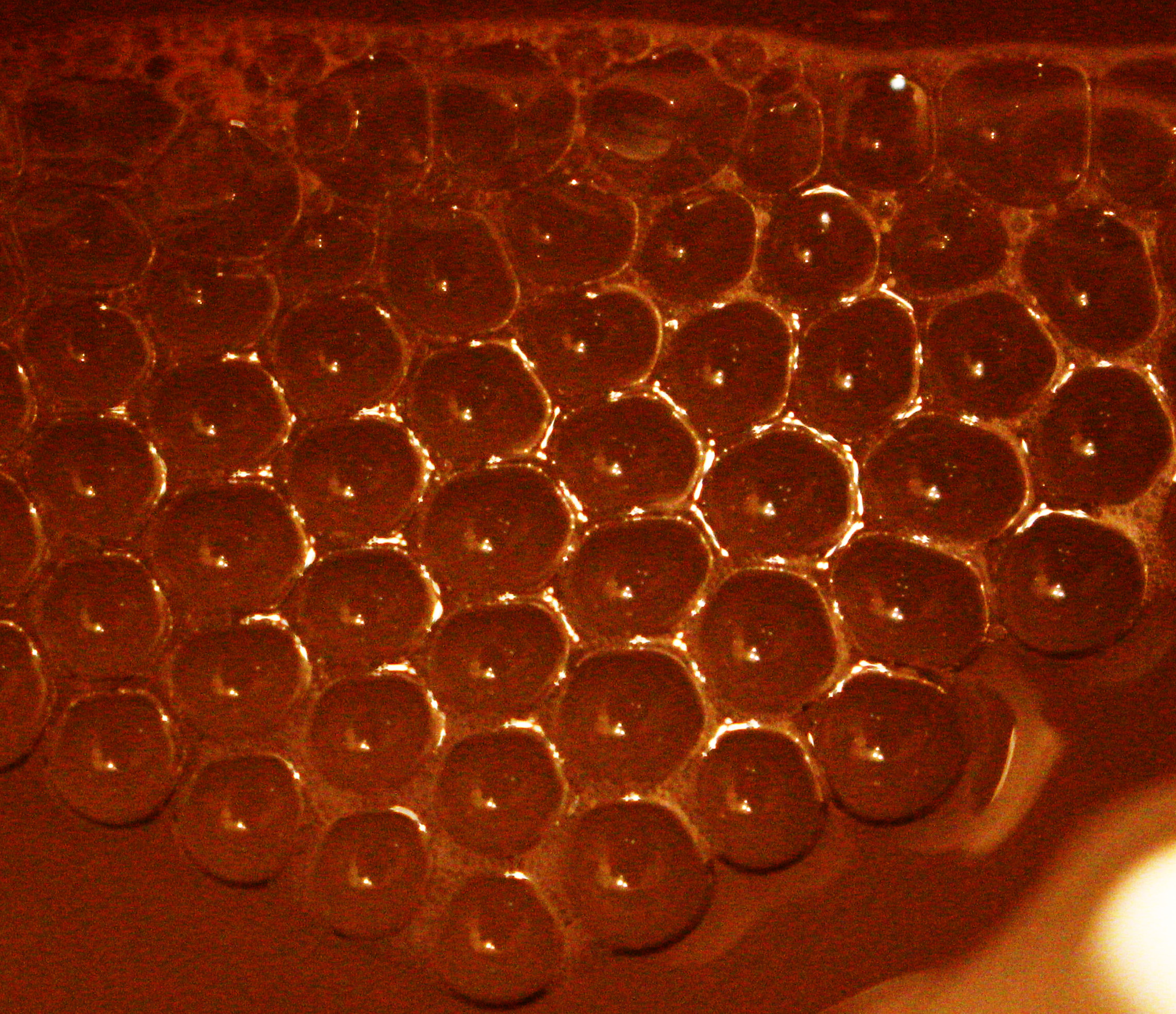 Macro and Micro Picture of the Day 2020-10-25