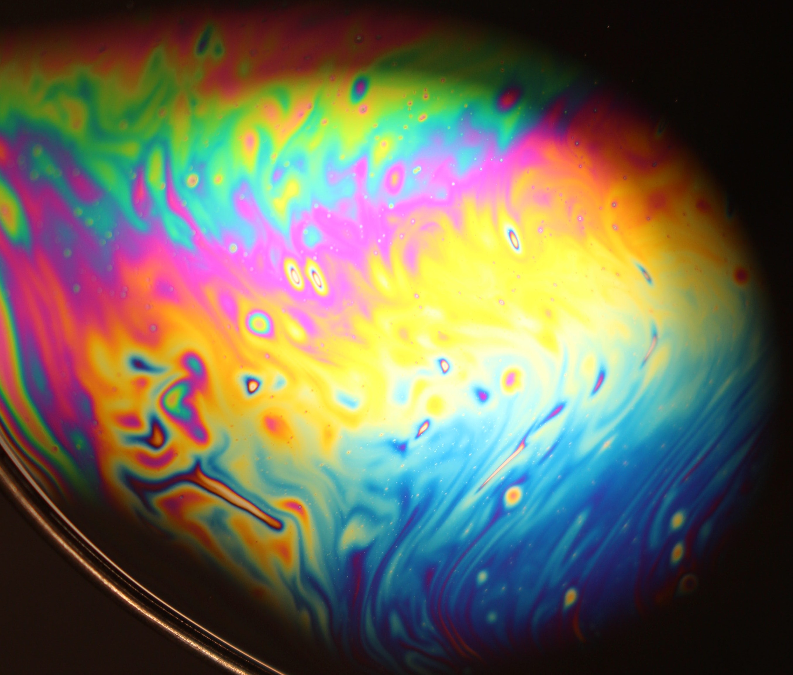 Macro and Micro Picture of the Day 2020-10-29