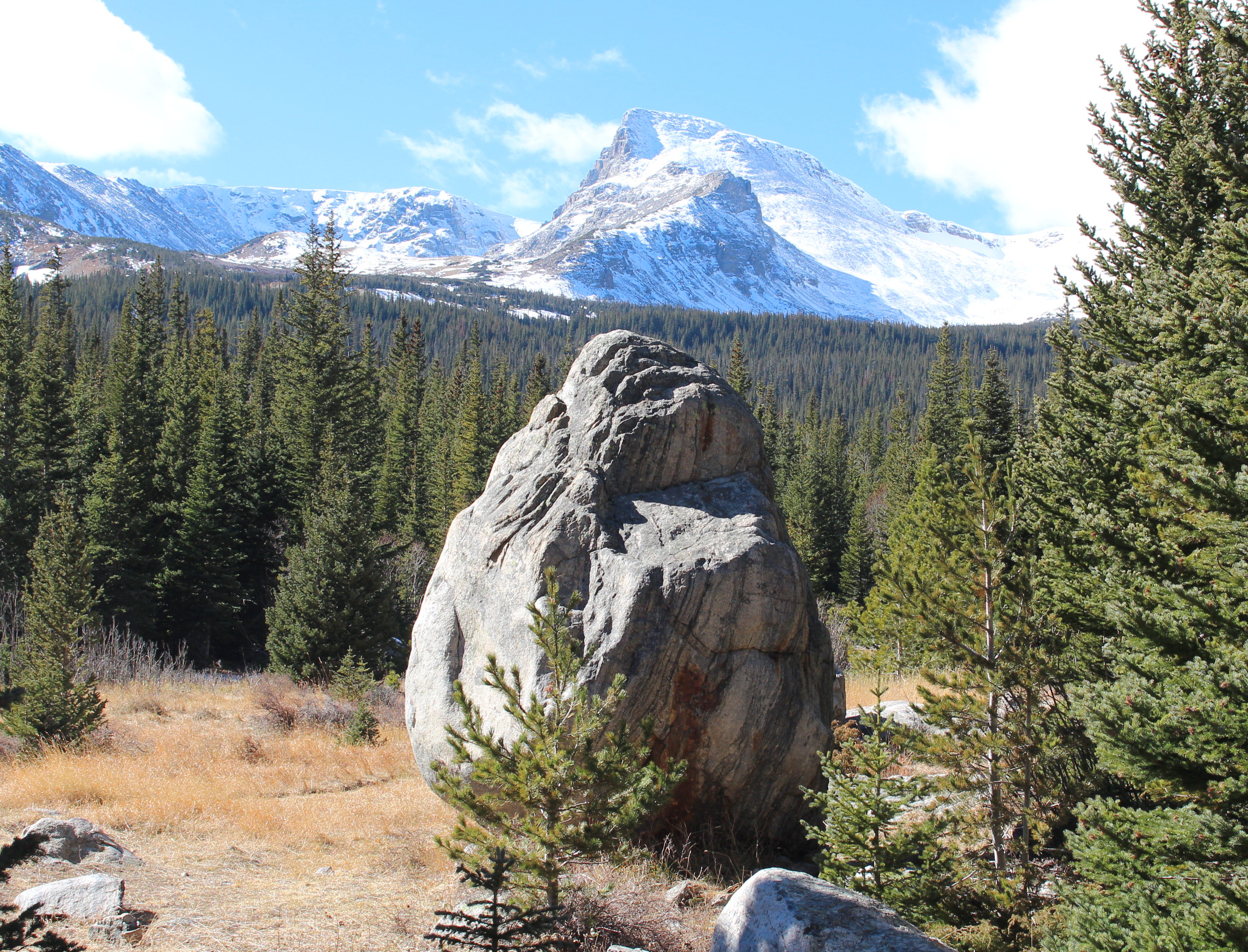 Macro and Micro Picture of the Day 2020-10-30